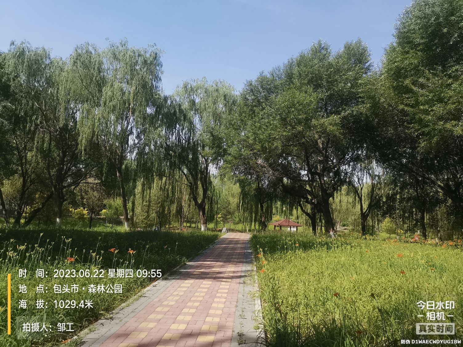 包头市森林公园旅行图片 3