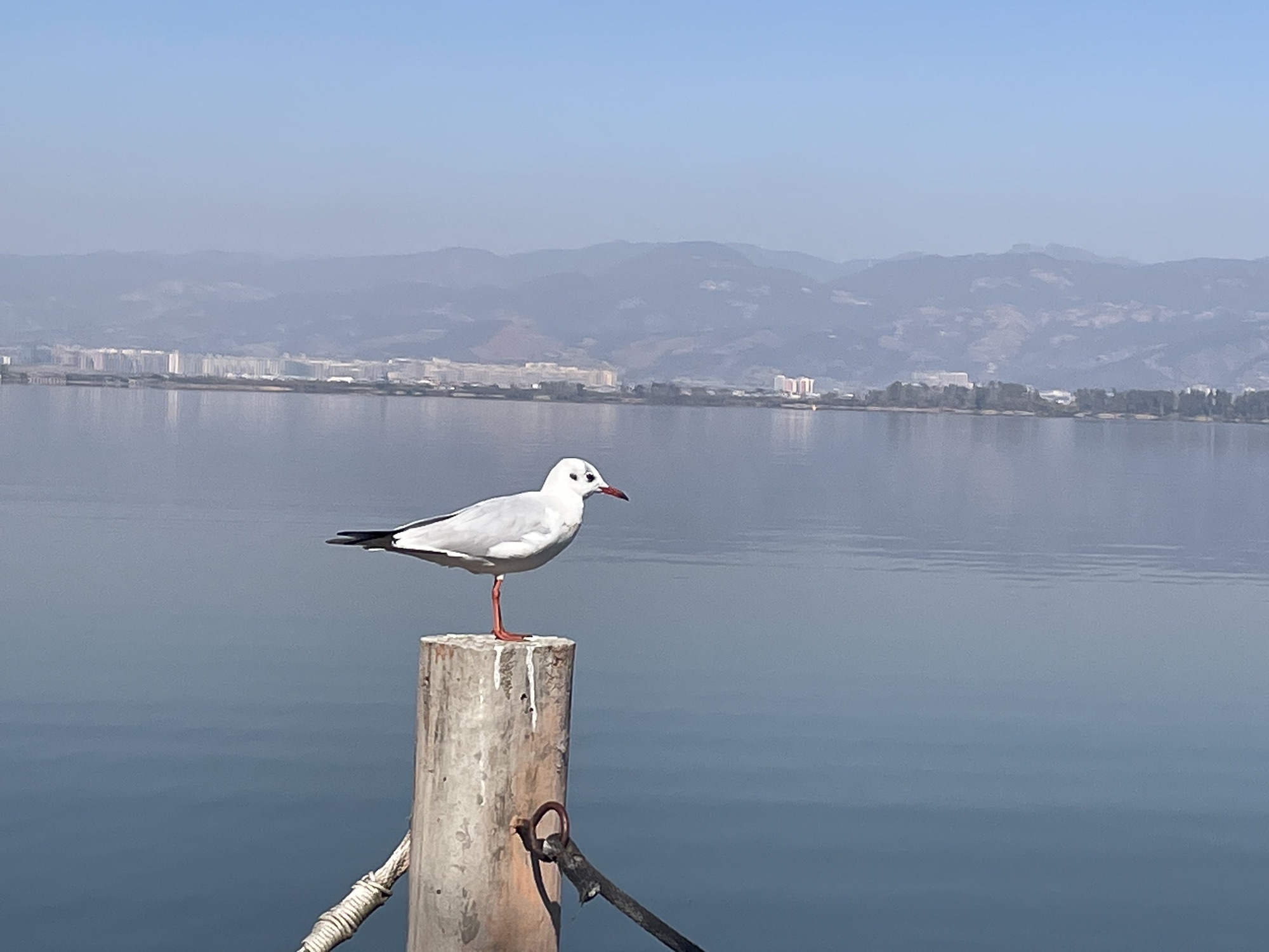 梦回田园湿地公园