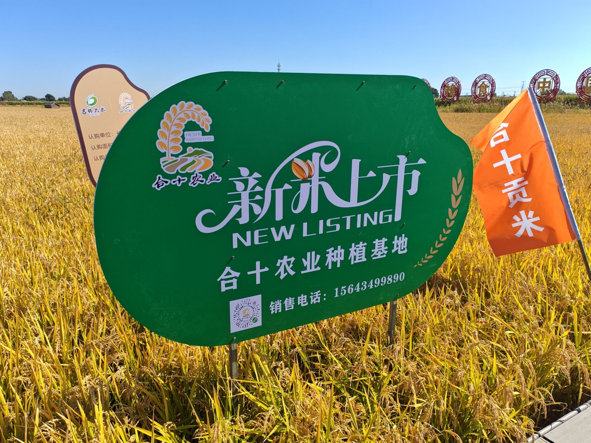 红光稻田公园旅行图片 2
