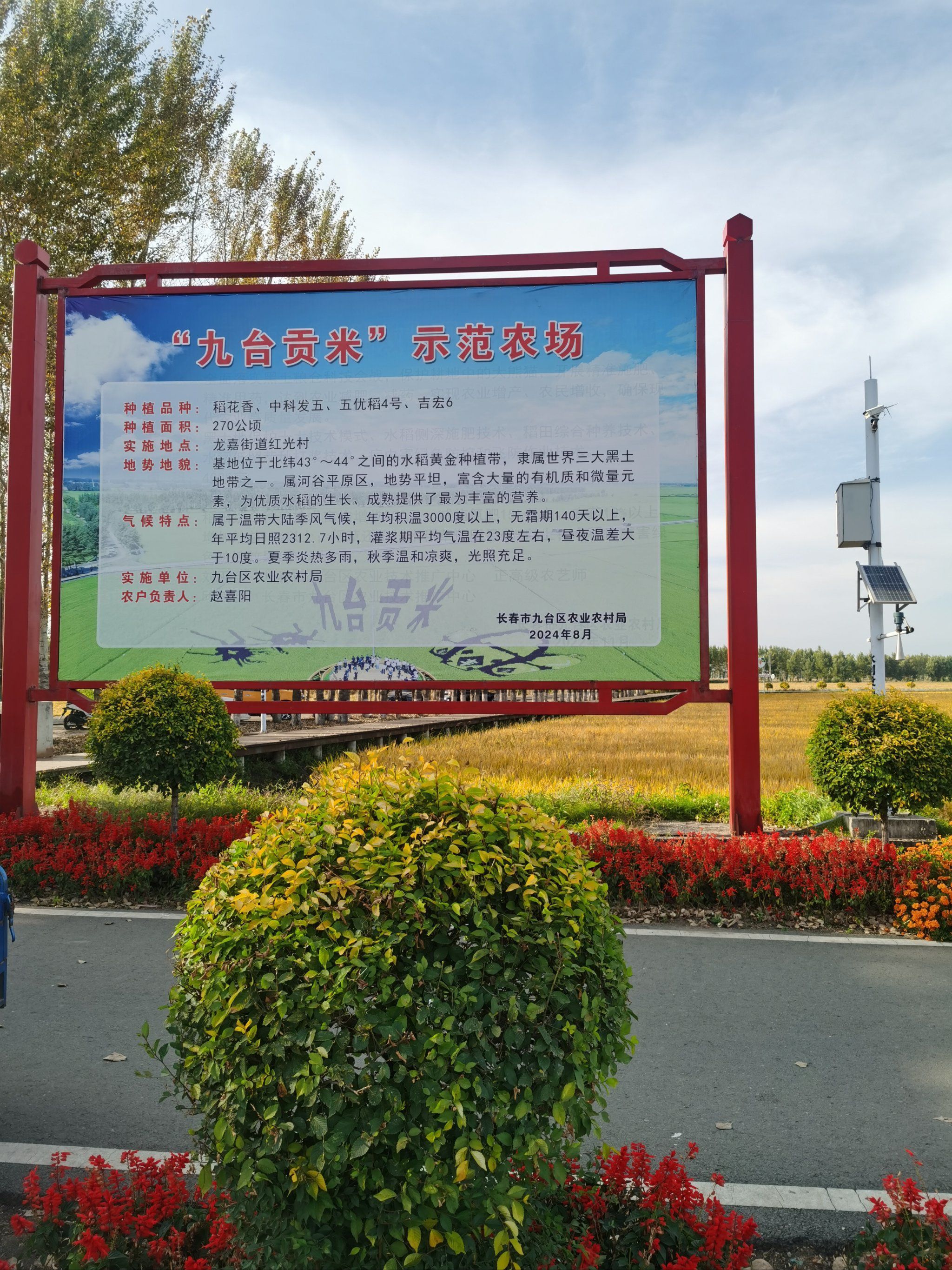 红光稻田公园旅行图片 1