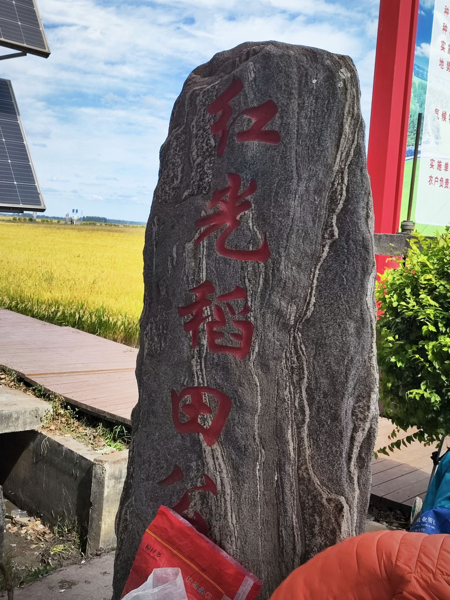 红光稻田公园