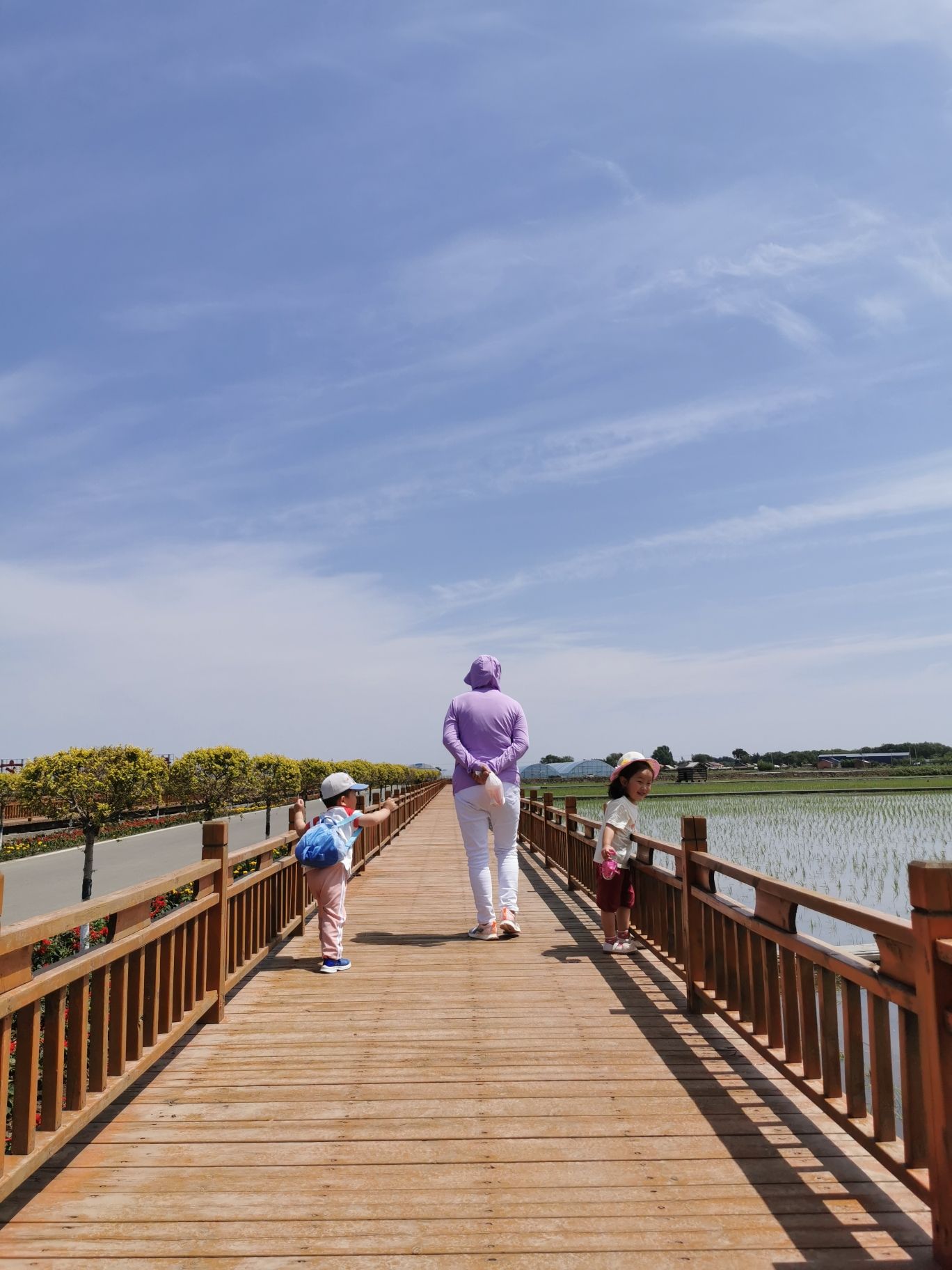 红光稻田公园旅行图片 1