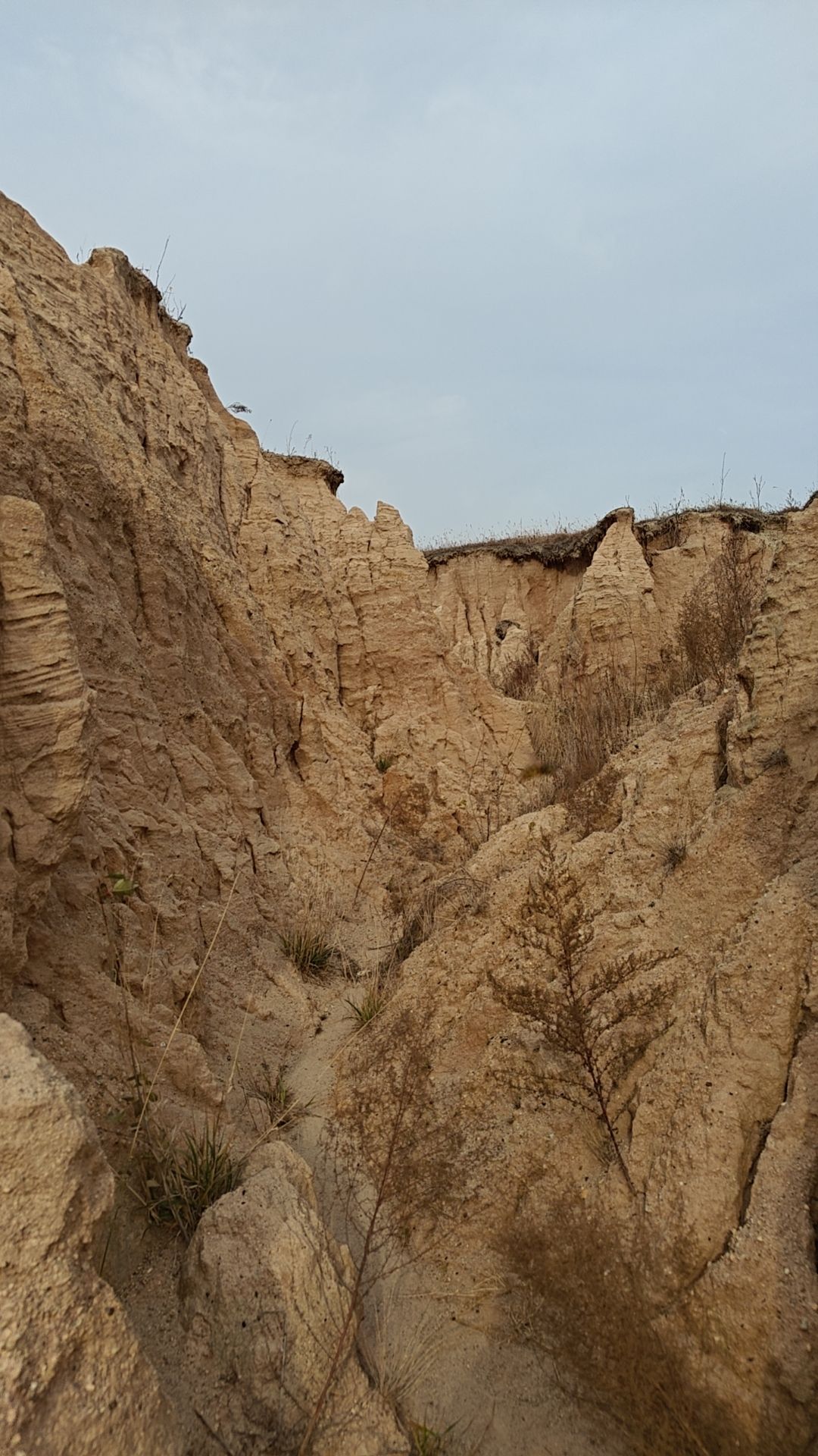 东风辽金古城遗址旅行图片 3