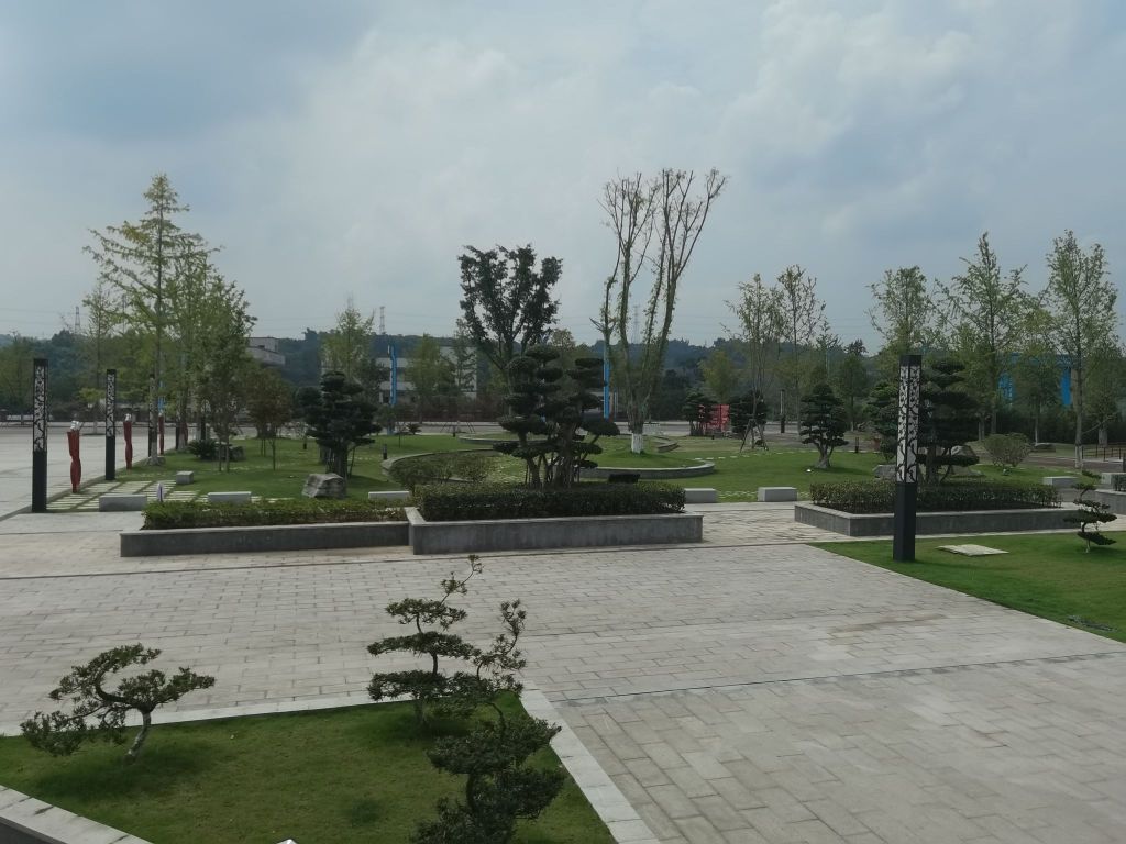 漂海楼广场旅行图片 2