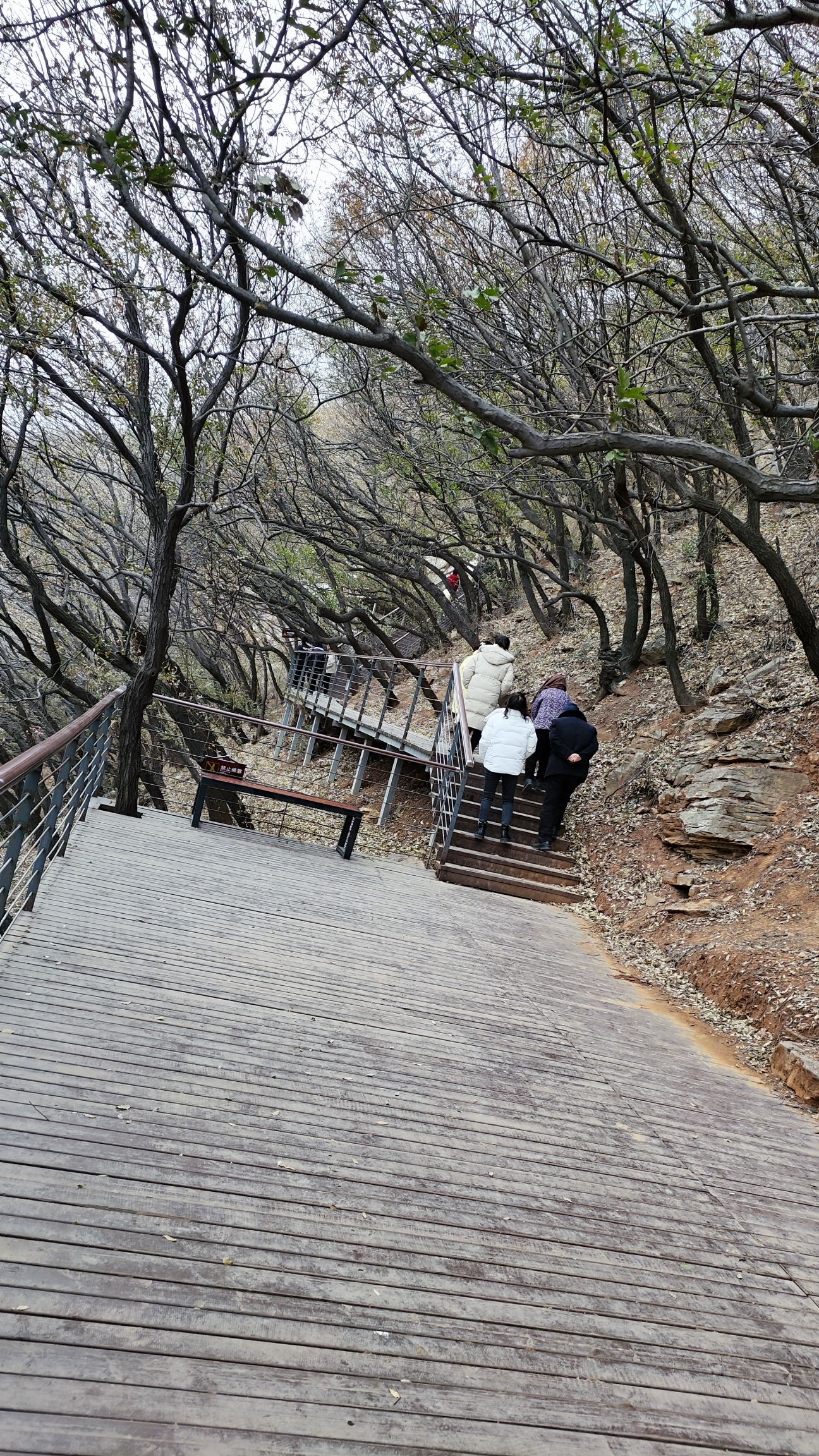 石板河景区旅行图片 3