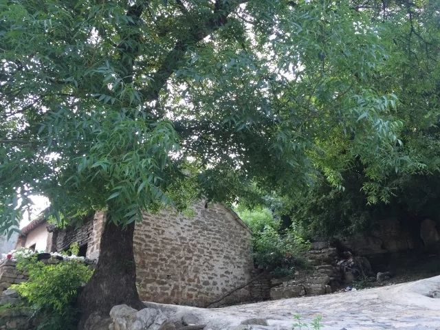 石板河景区旅行图片 1