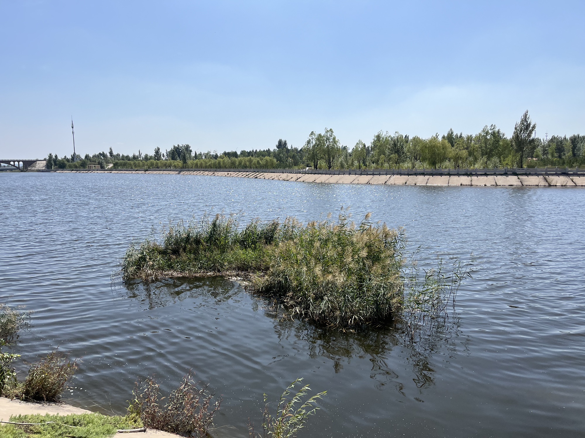花海公园旅行图片 1