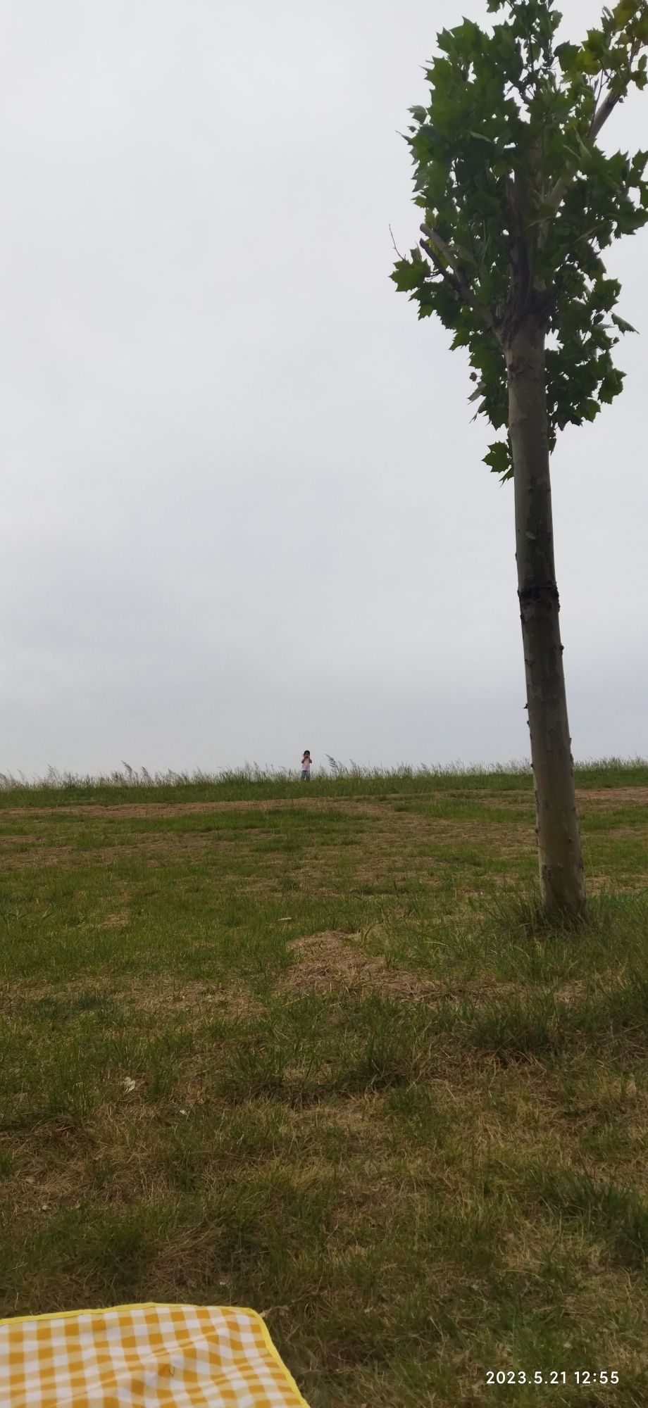 星悦公园旅行图片 2