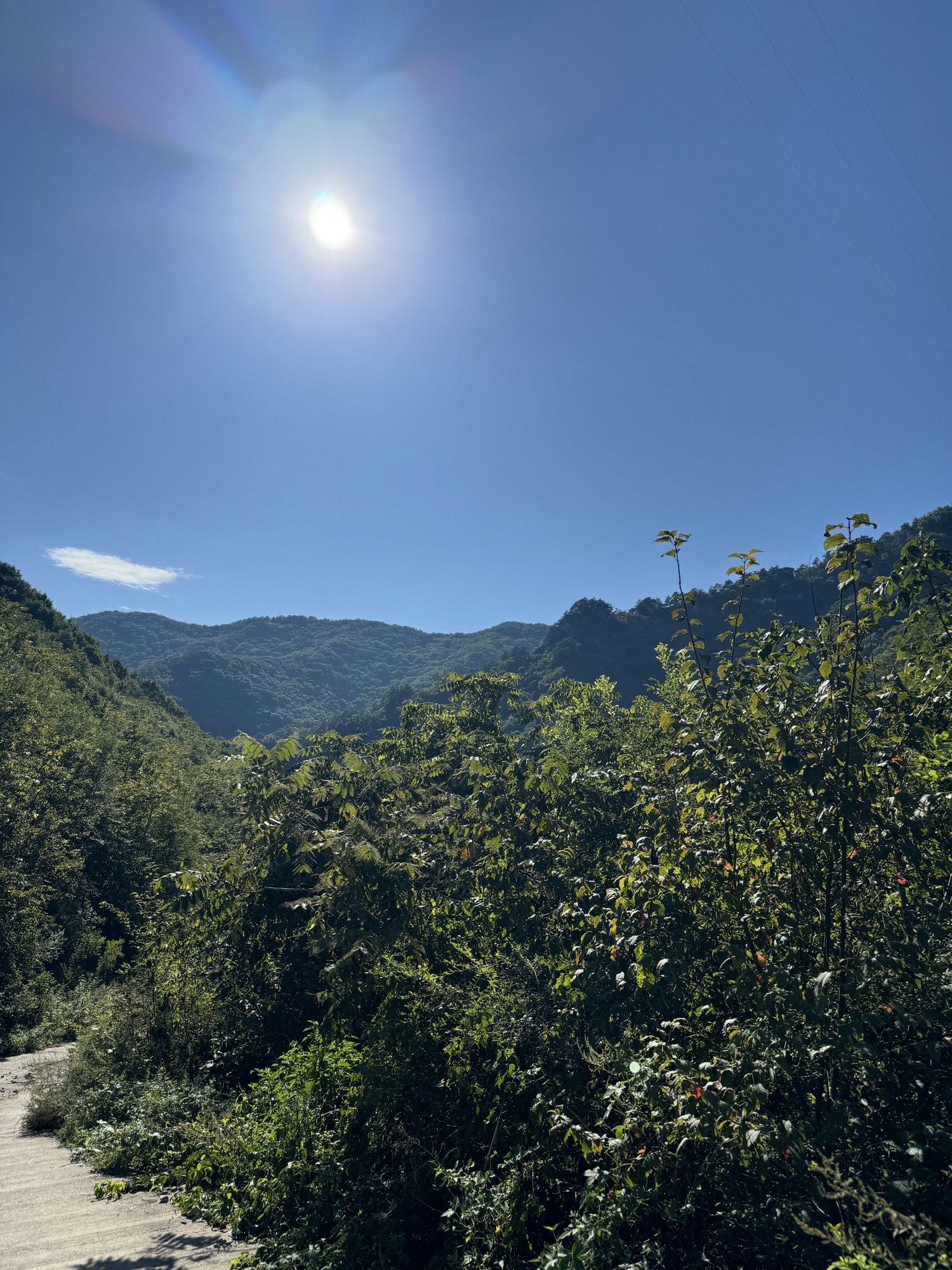 太极湾景点(暂停开放)旅行图片 1