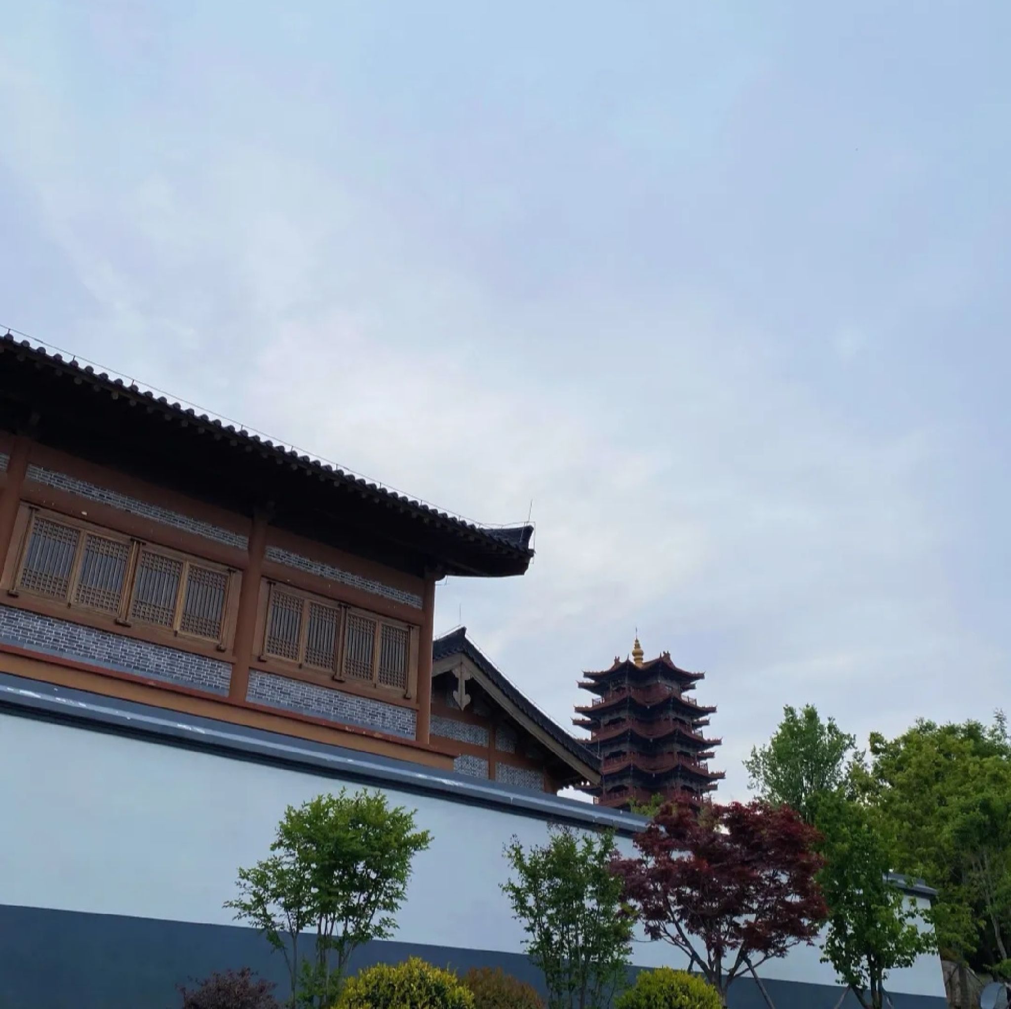 皇山公园旅行图片 1