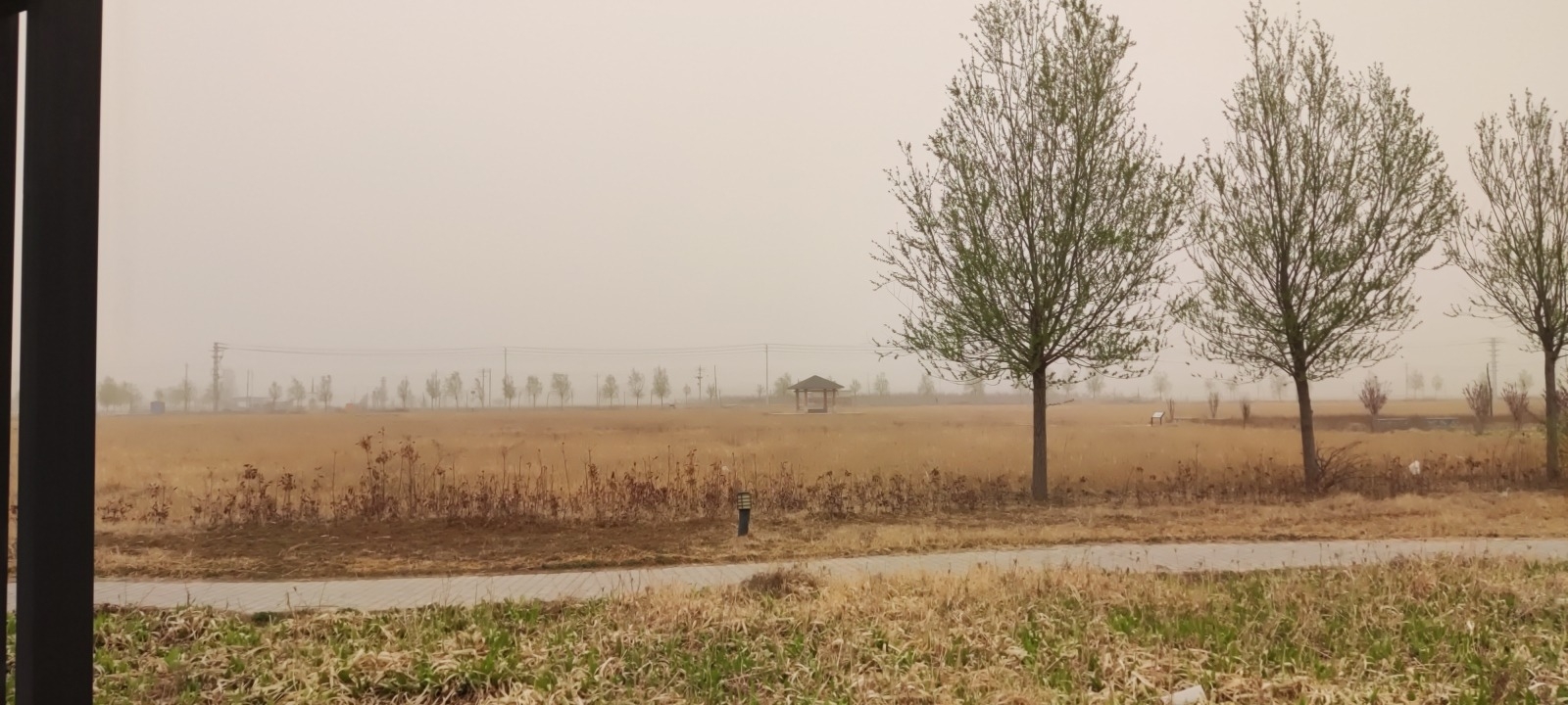 古盘河湿地公园旅行图片 3