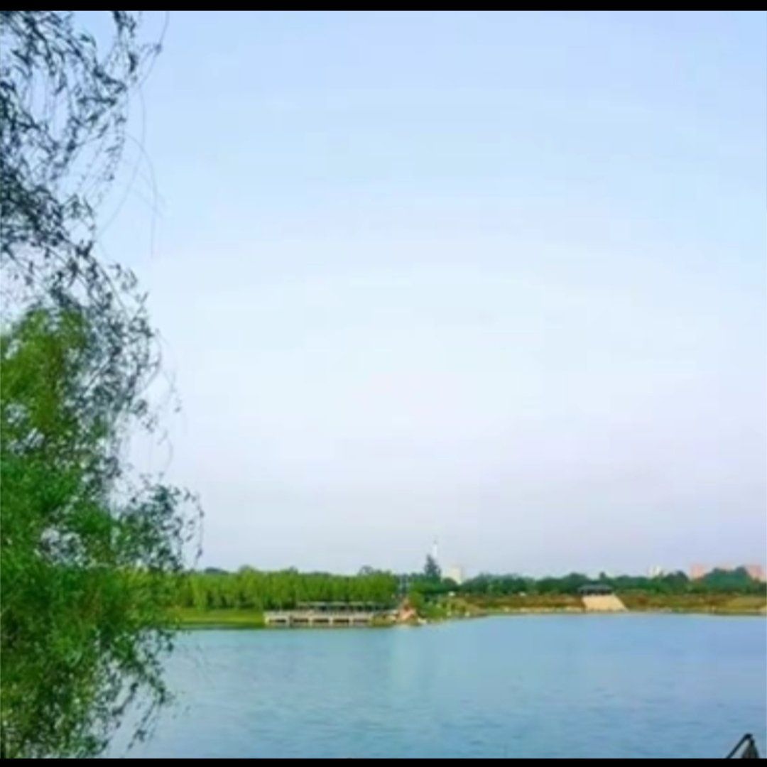 中心城区湿地公园旅行图片 1