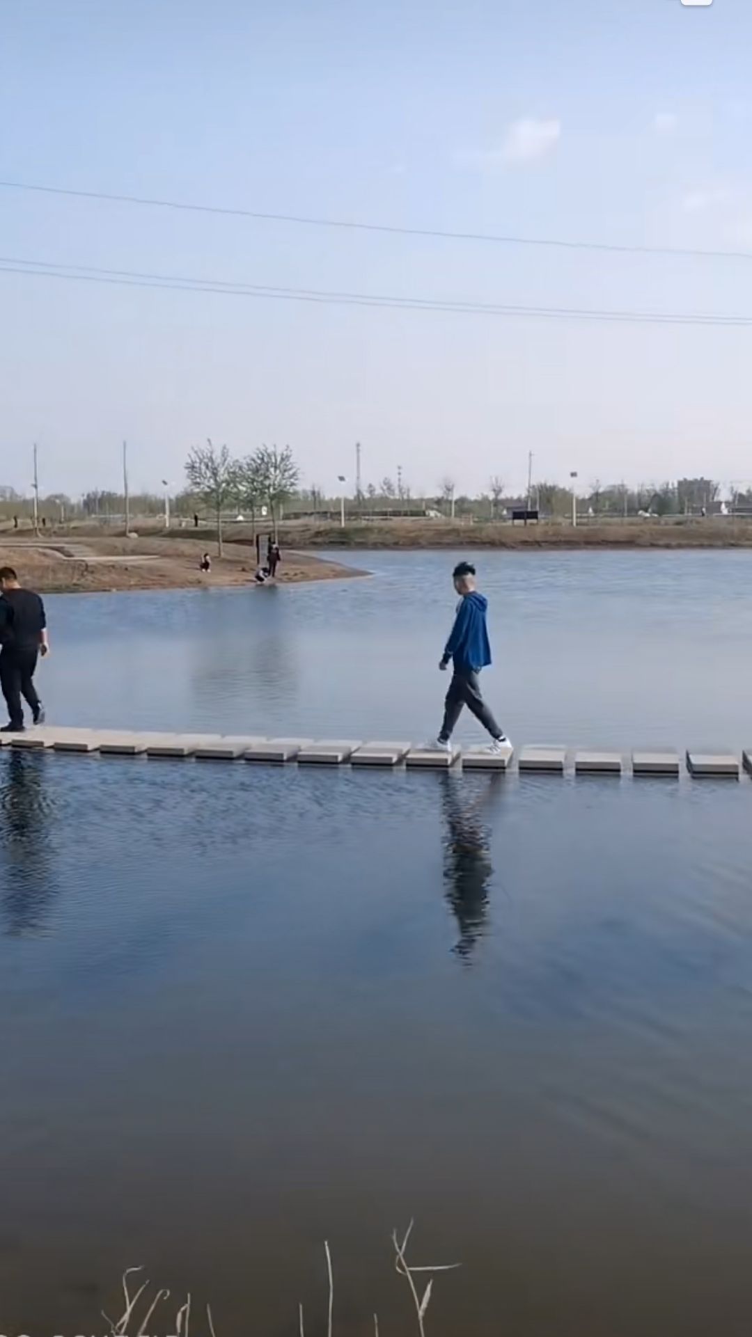 中心城区湿地公园旅行图片 2