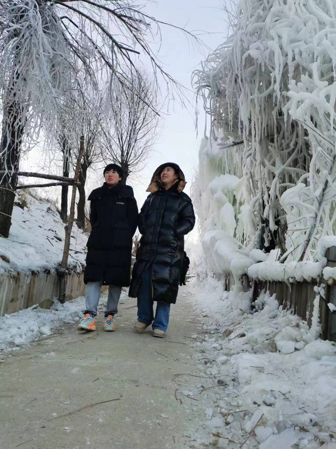 屋舒里渡假村旅行图片 2