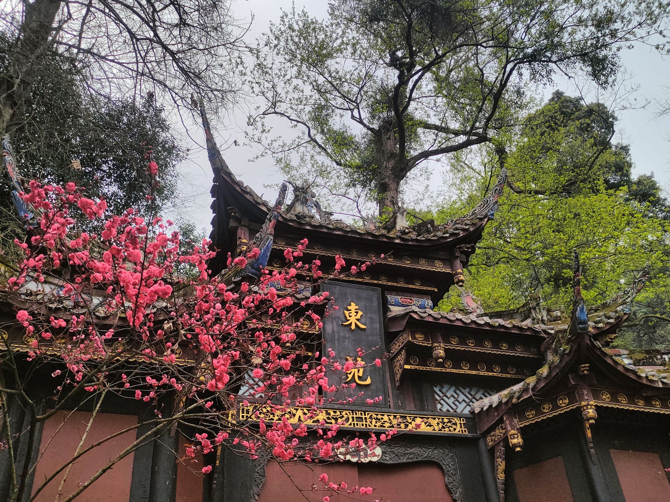 都江堰水利工程 景点照片