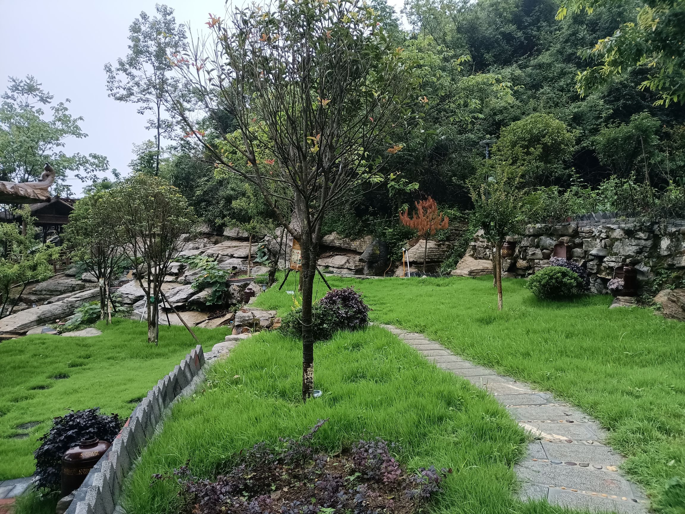 添奇洞旅行图片 3