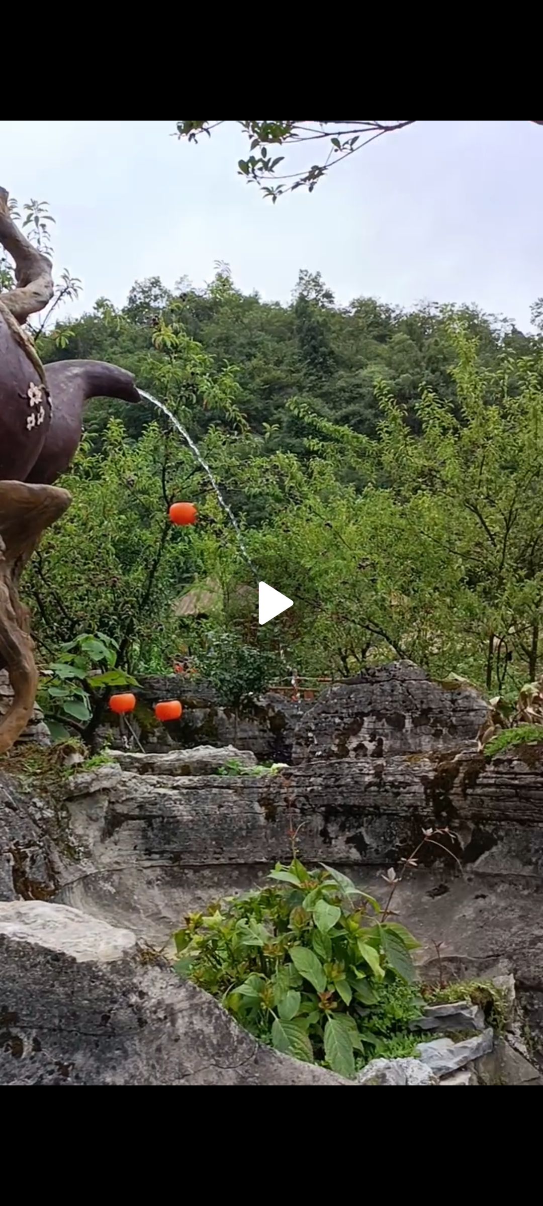 添奇洞旅行图片 1