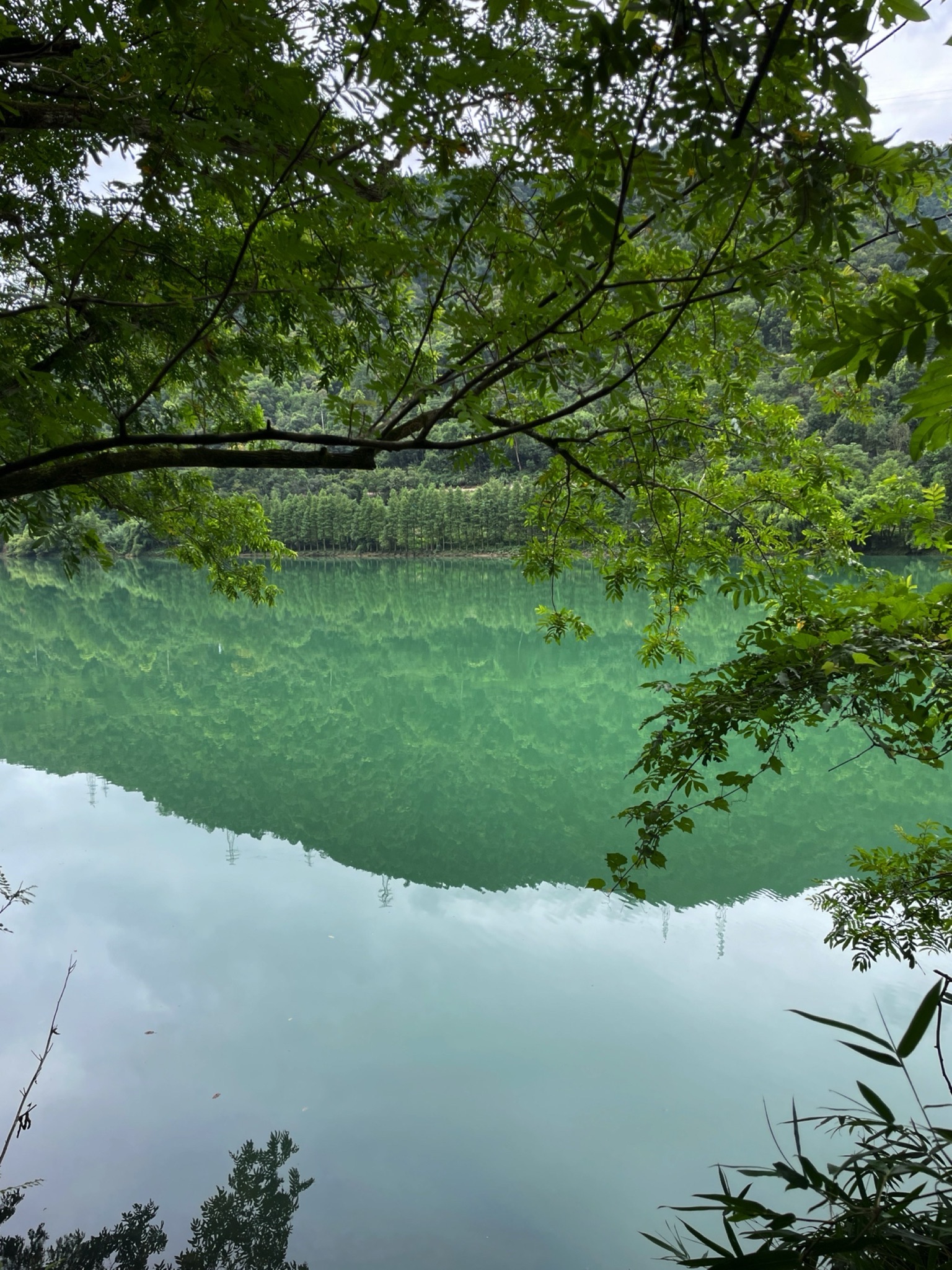 建德水上森林公园旅行图片 2