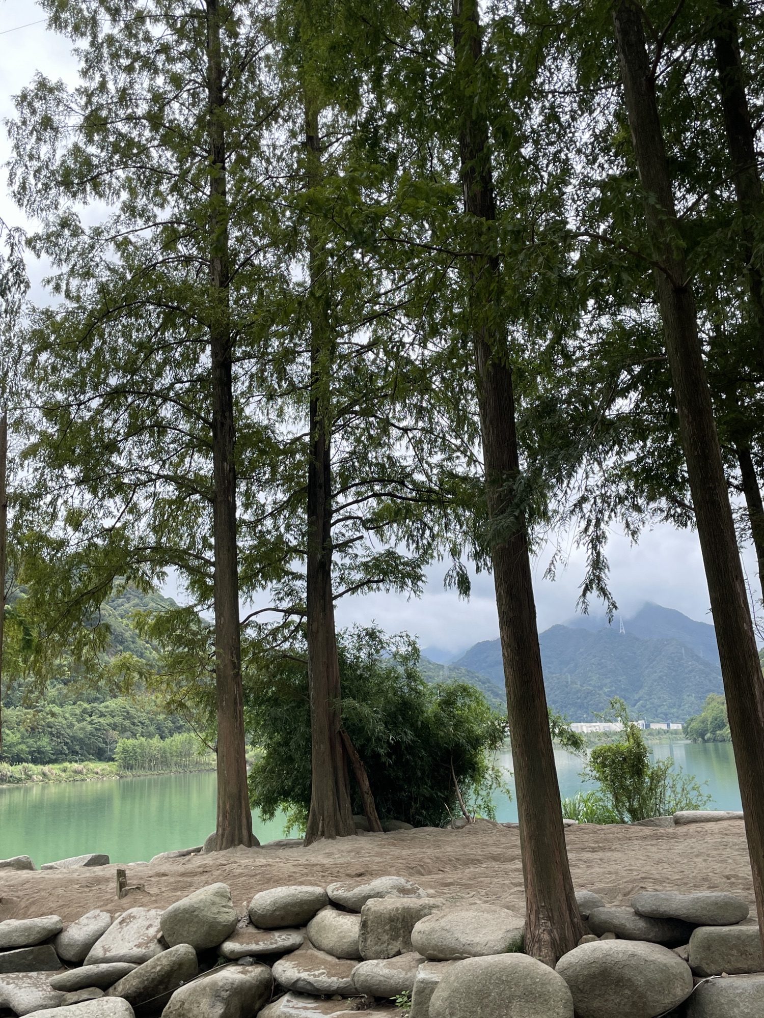 建德水上森林公园旅行图片 1