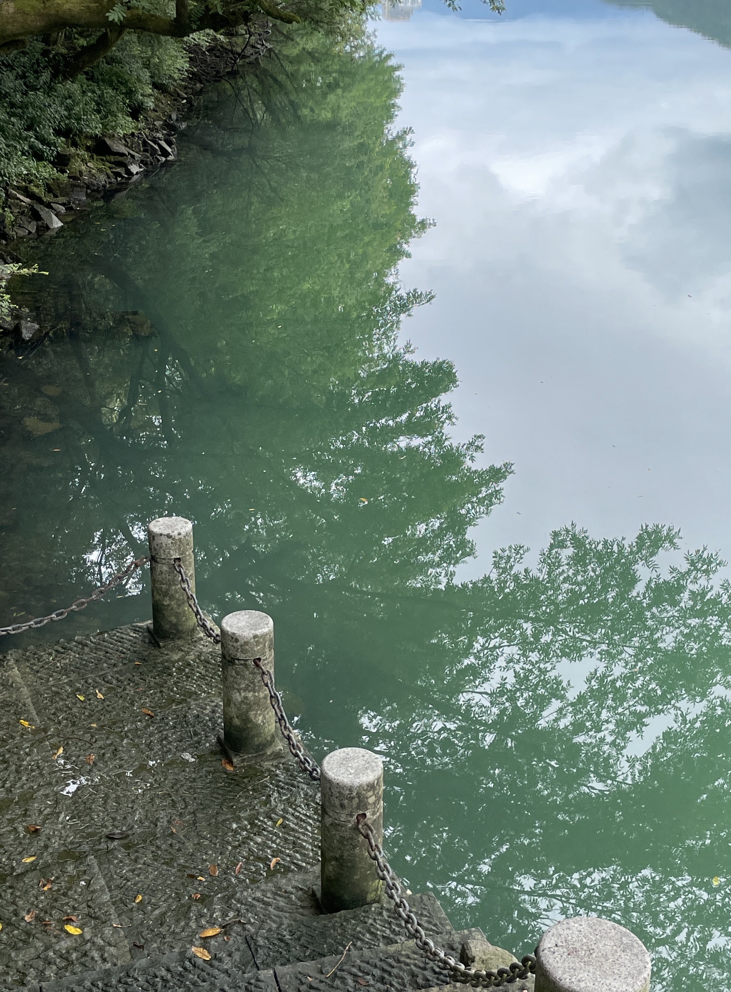 建德水上森林公园旅行图片 3
