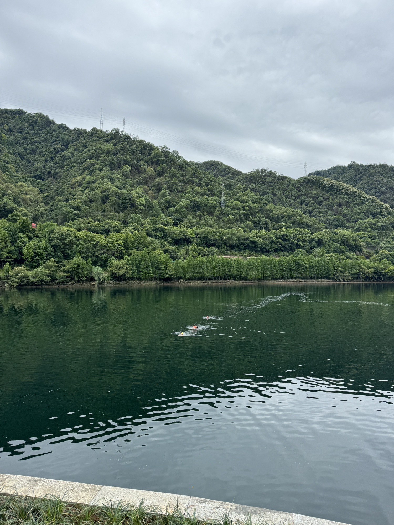 建德水上森林公园旅行图片 3
