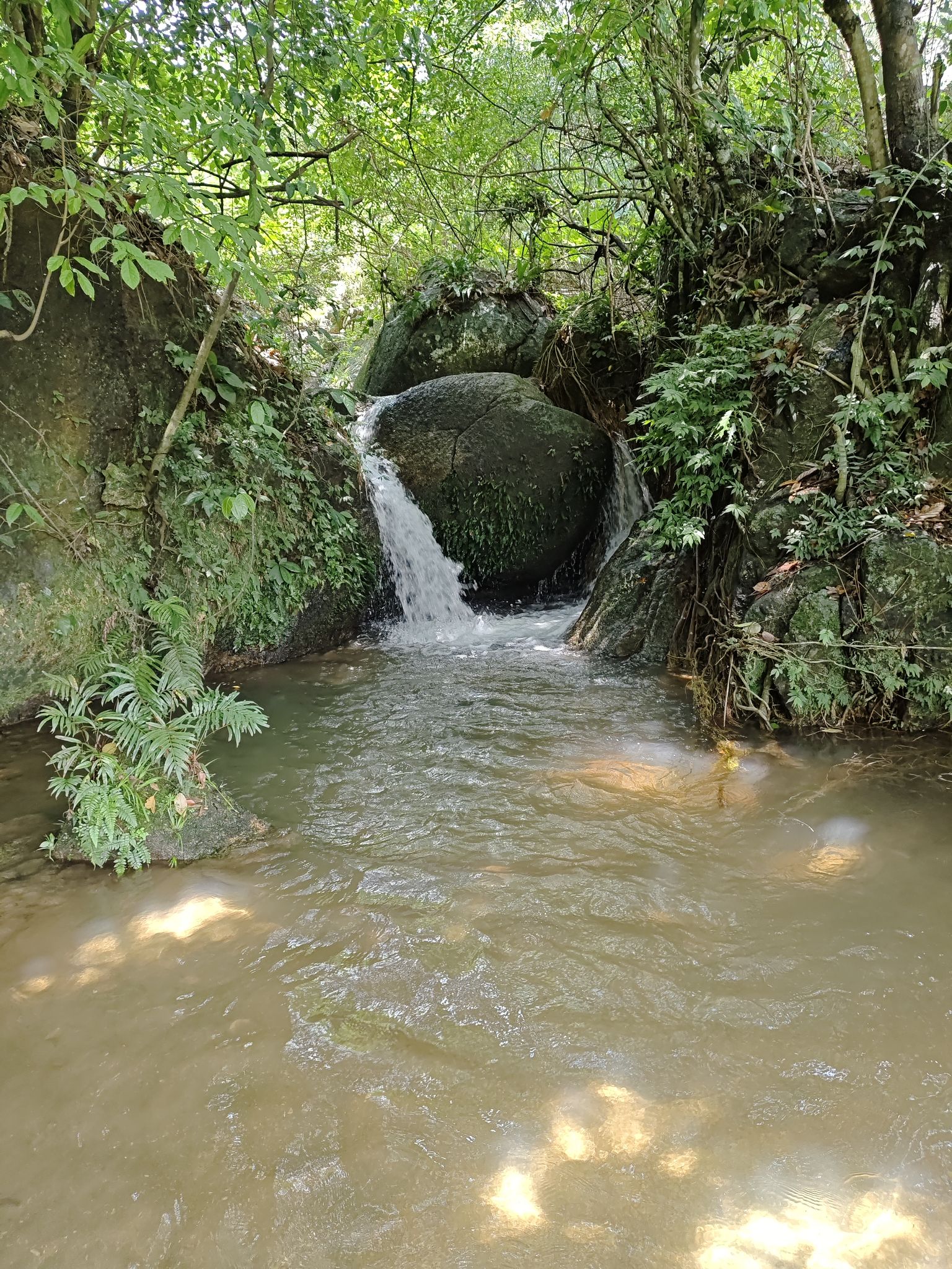 容心谷旅行图片 2
