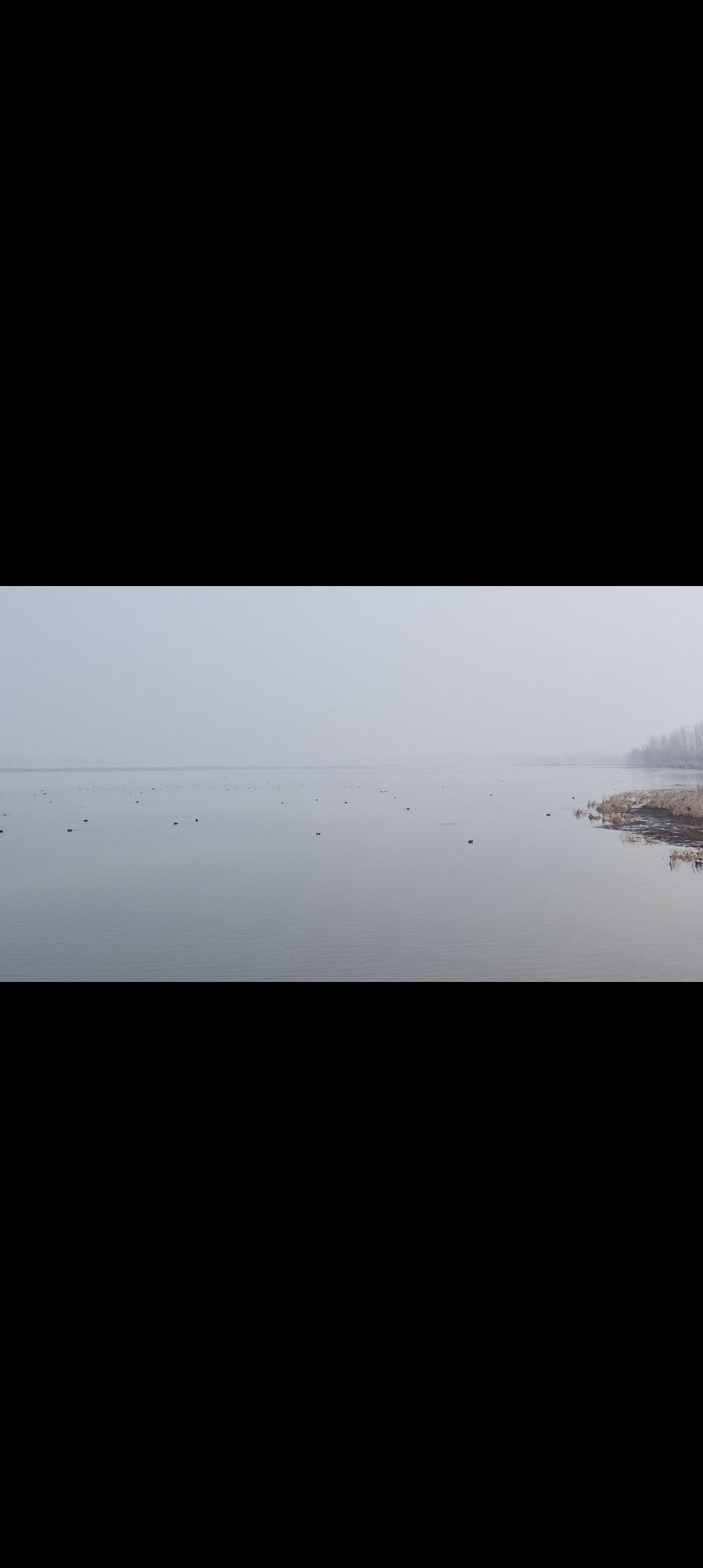 观湖亭旅行图片 2