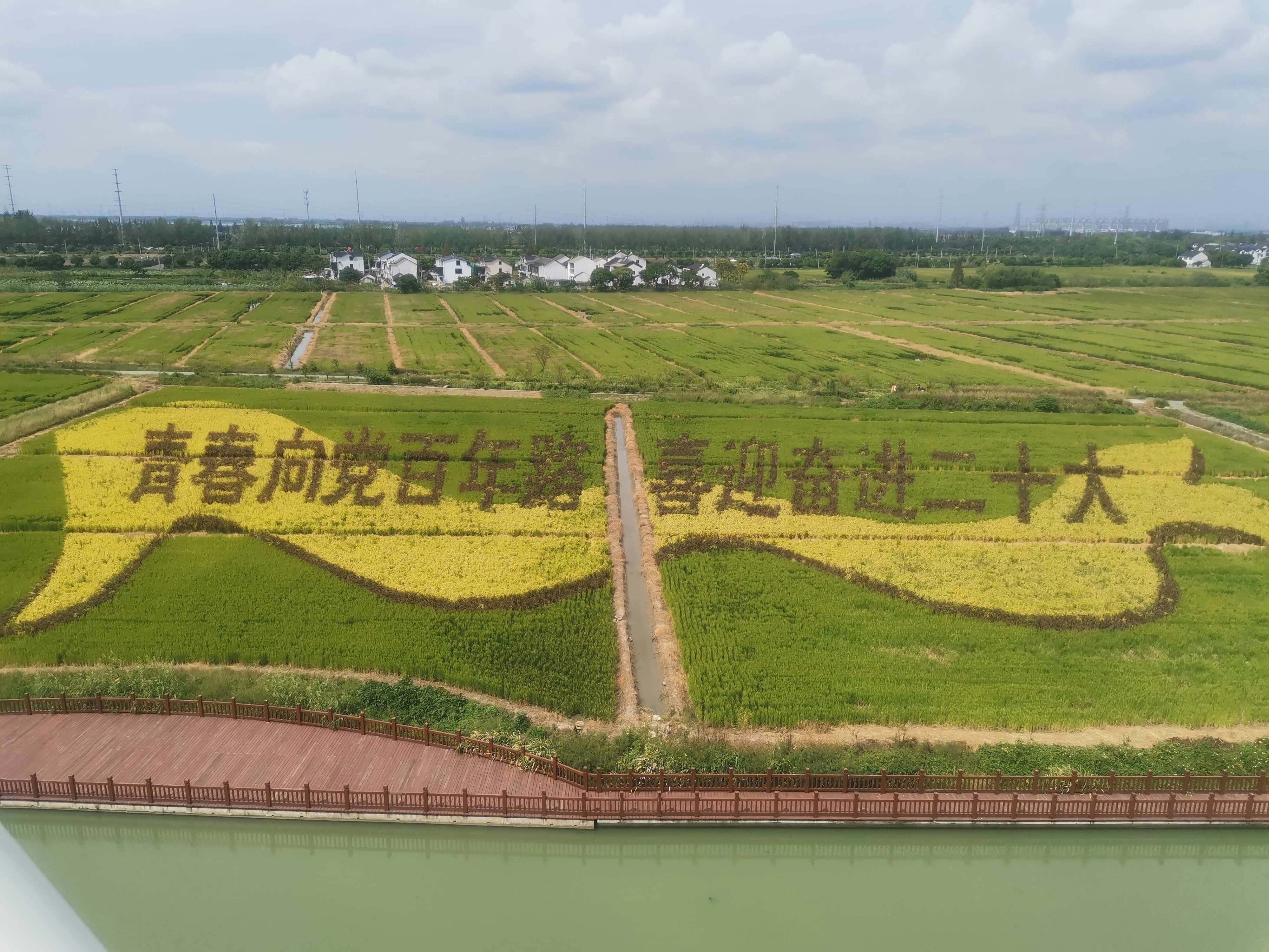 尚明甸稻田艺术旅行图片 2