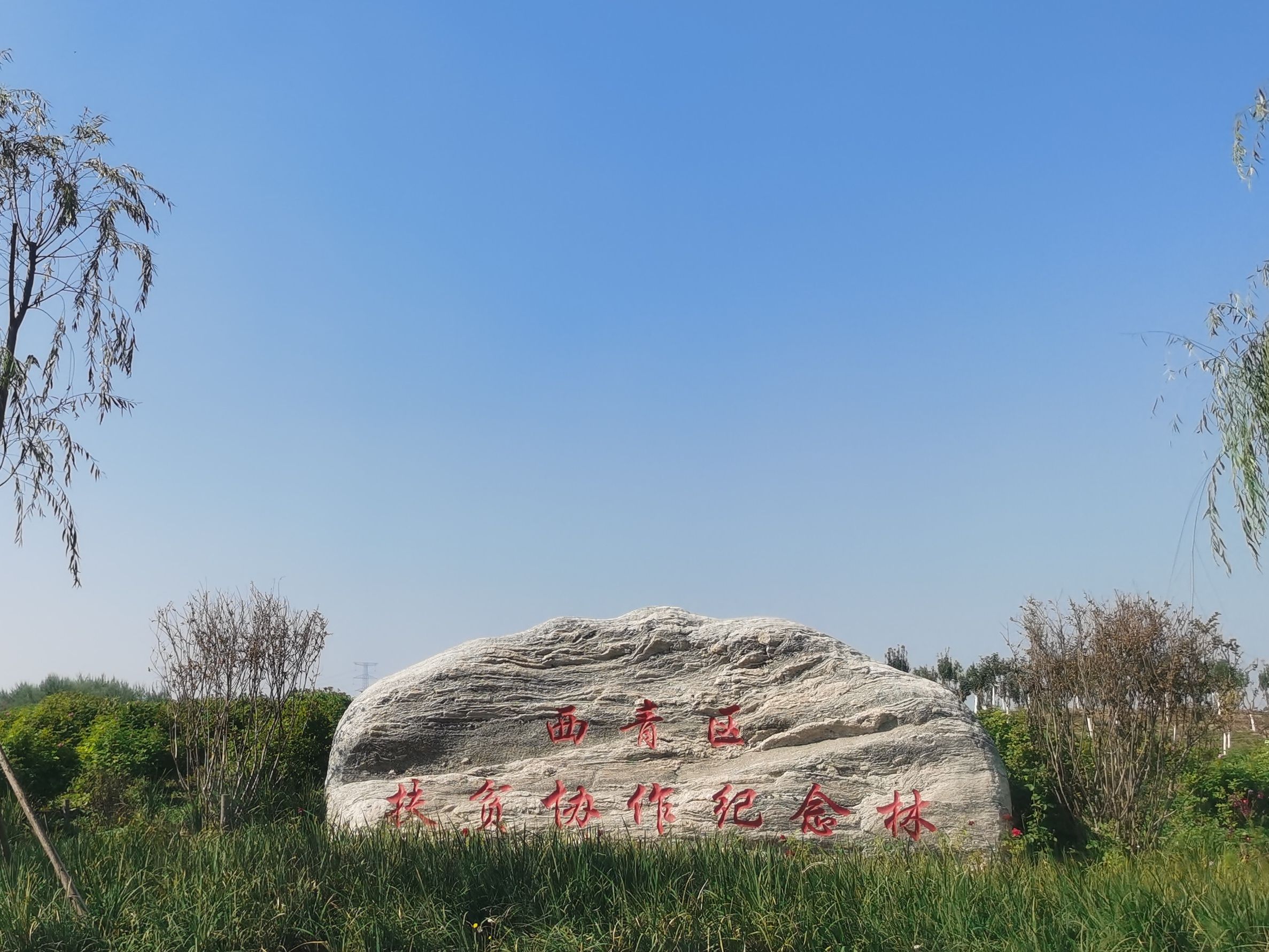 丰收塔旅行图片 1