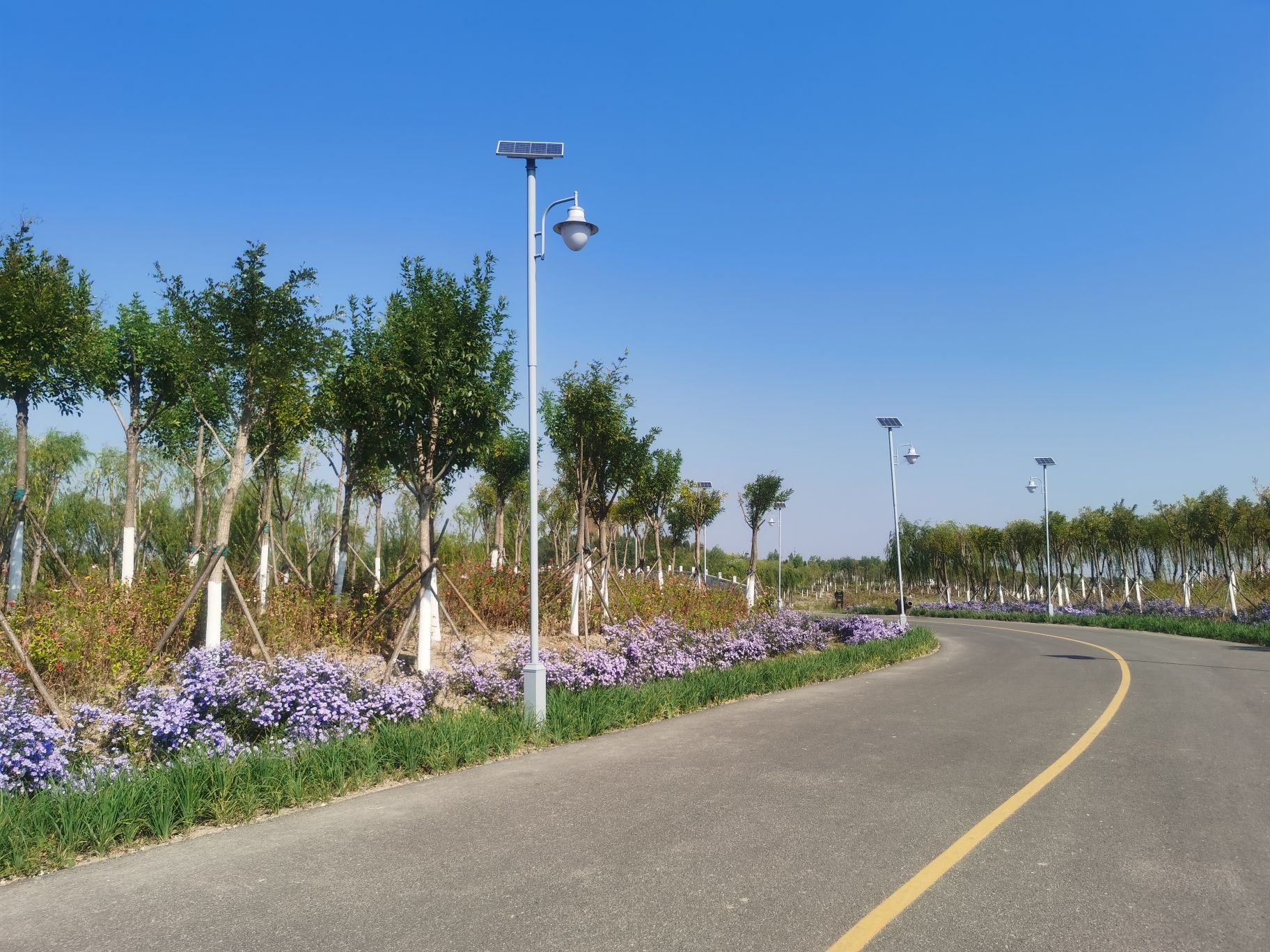丰收塔旅行图片 3