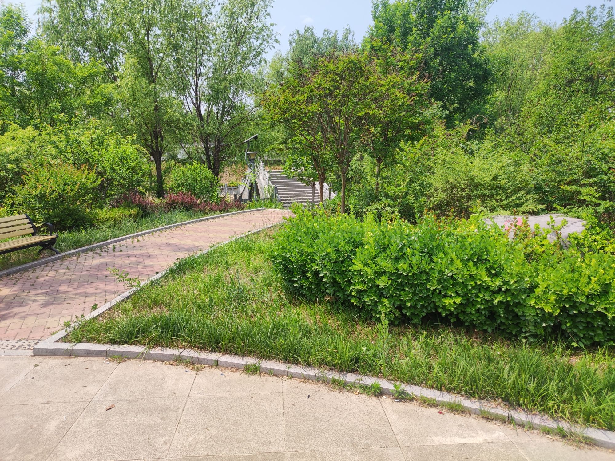 金庄镇法德文化广场旅行图片 2