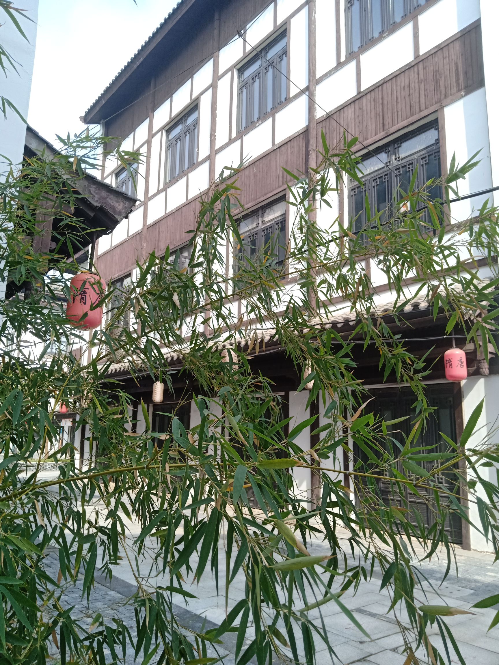 隋唐运河古镇·大观园旅行图片 2