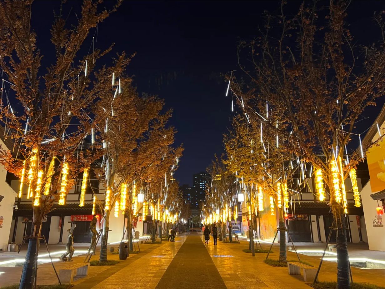 隋唐运河古镇·大观园旅行图片 3