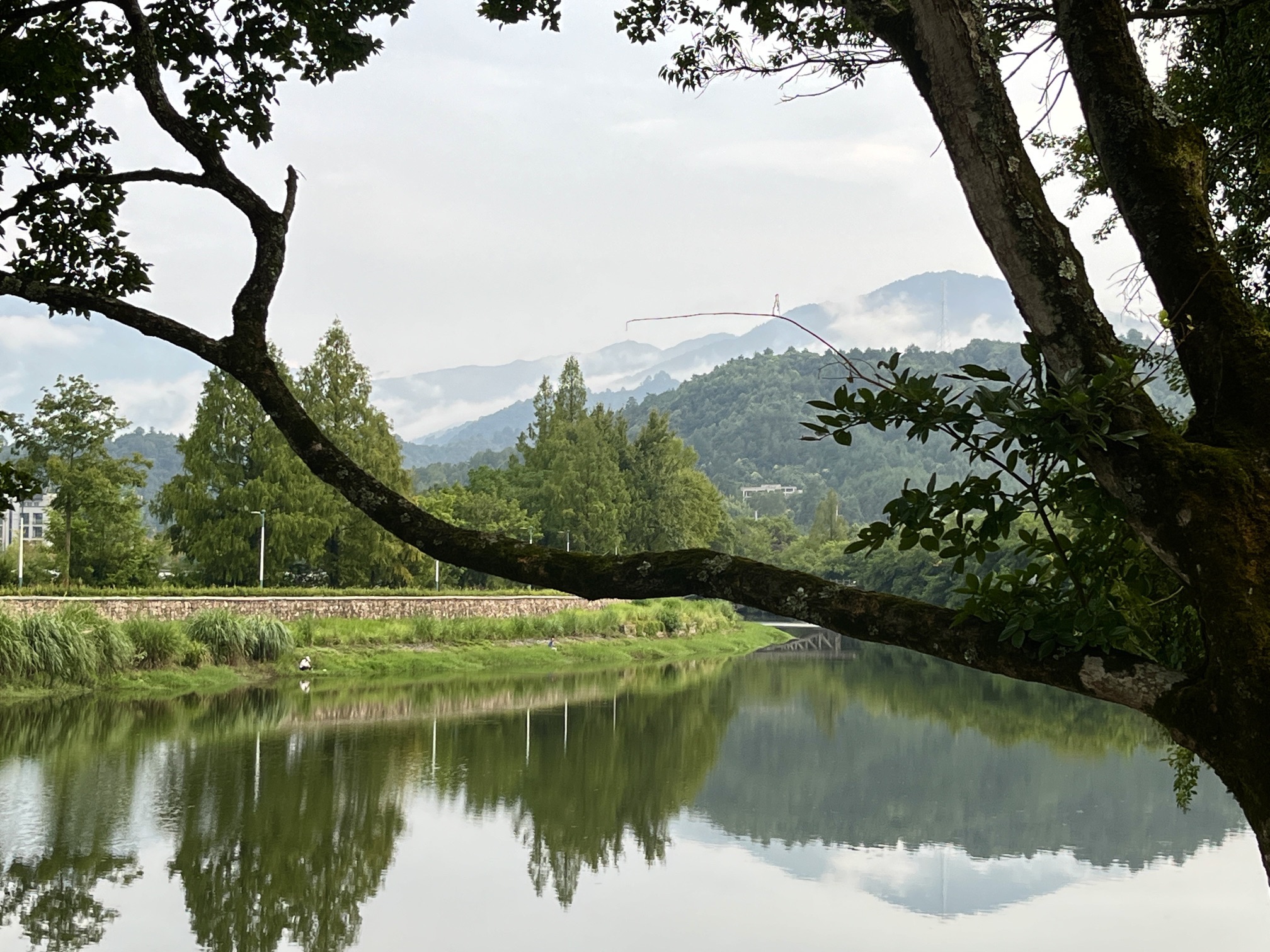 黄山浦溪河休闲旅游区旅行图片 3