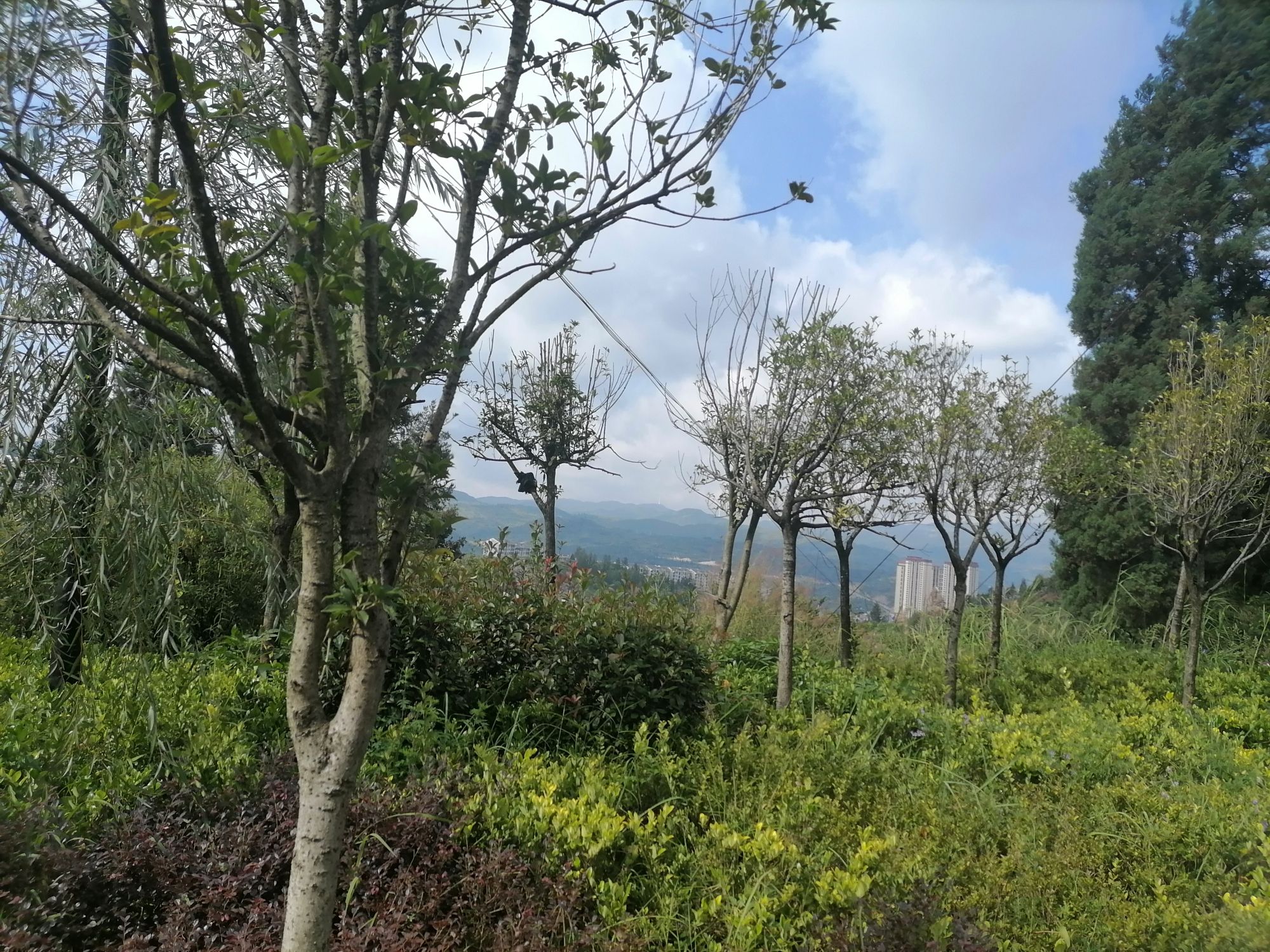 月亮山公园旅行图片 2