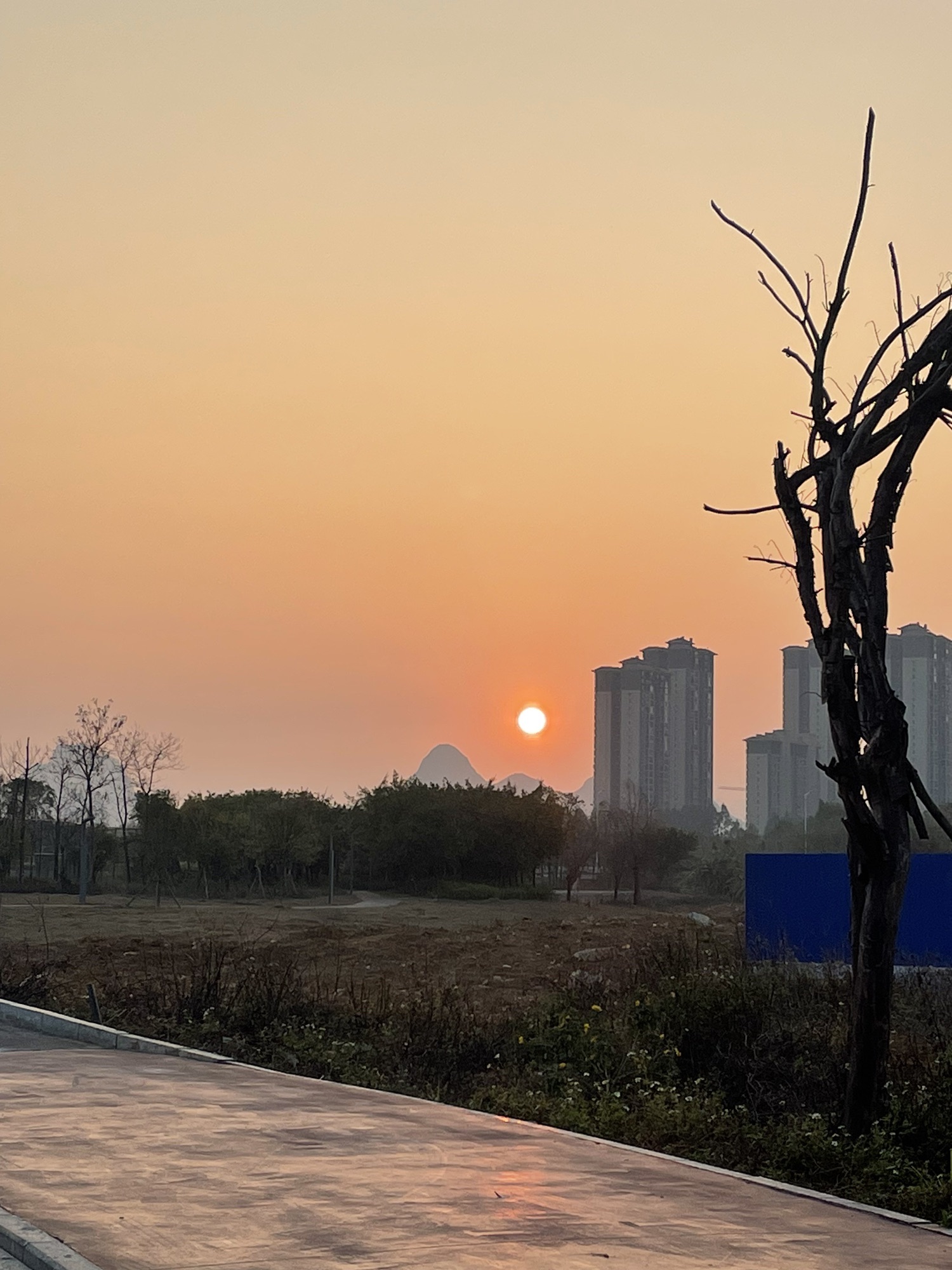 柳江体育园旅行图片 3