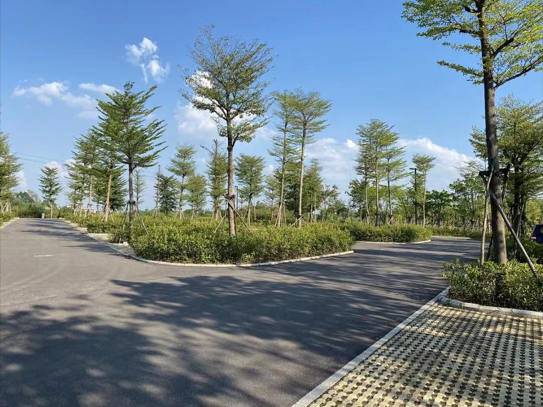 柳江体育园旅行图片 1