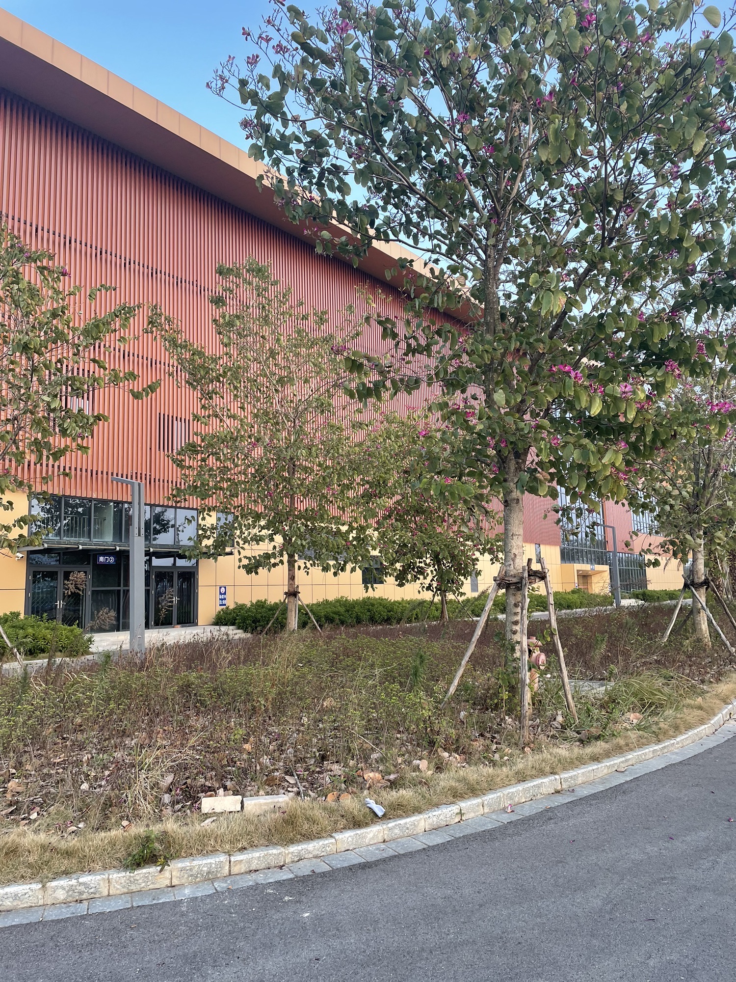 柳江体育园旅行图片 2