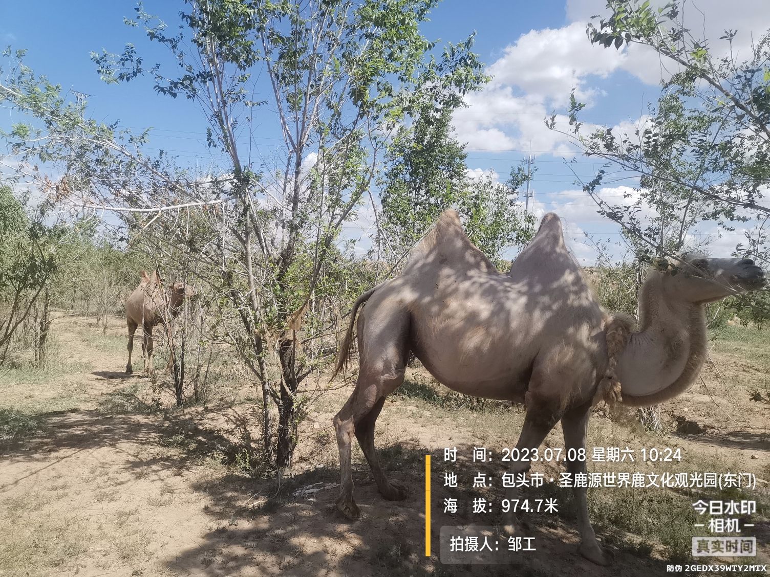 圣鹿源世界鹿文化观光园旅行图片 1