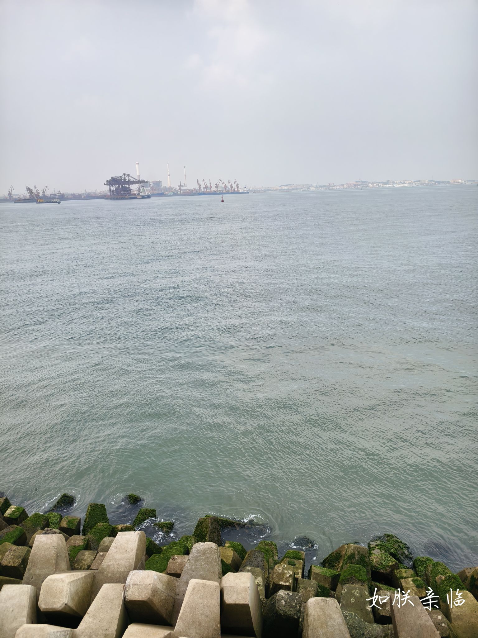 滨海步行公园旅行图片 2