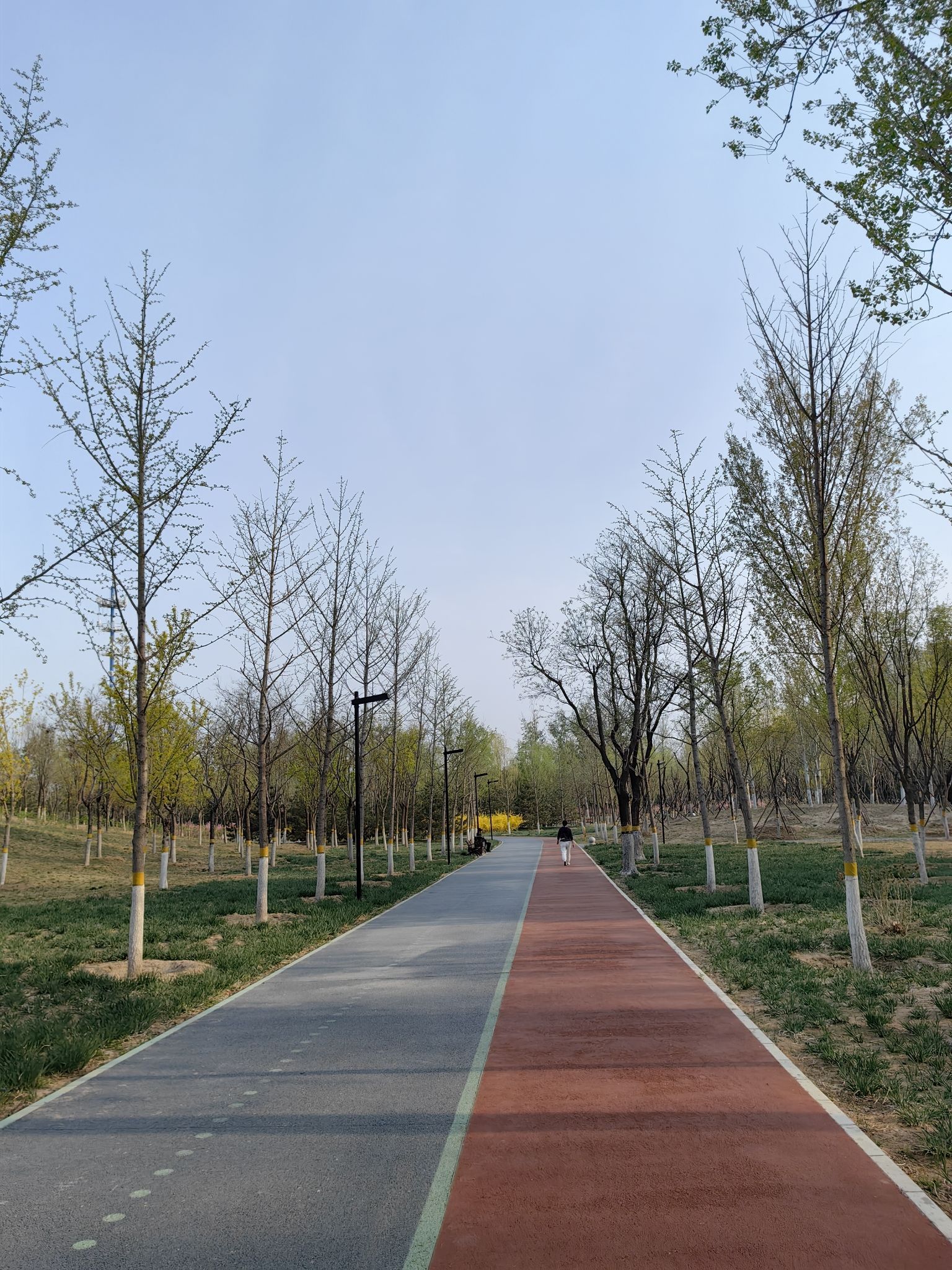 贺新公园旅行图片 3