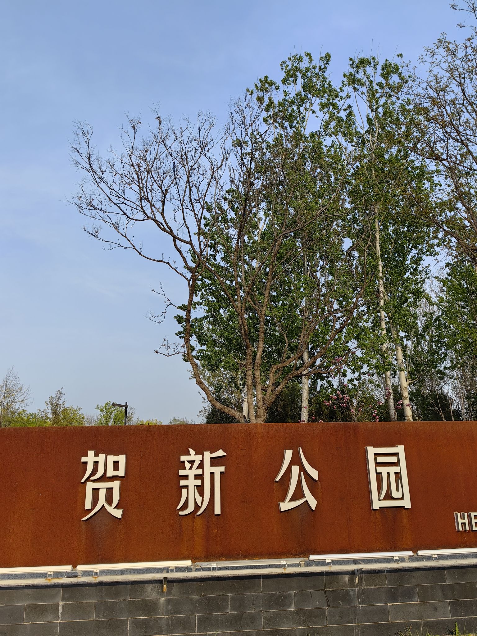 贺新公园旅行图片 2