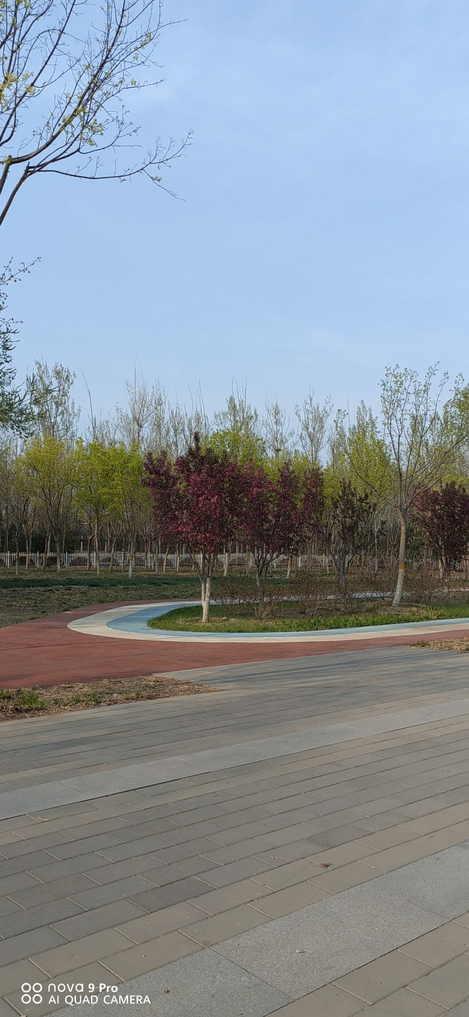 贺新公园旅行图片 3