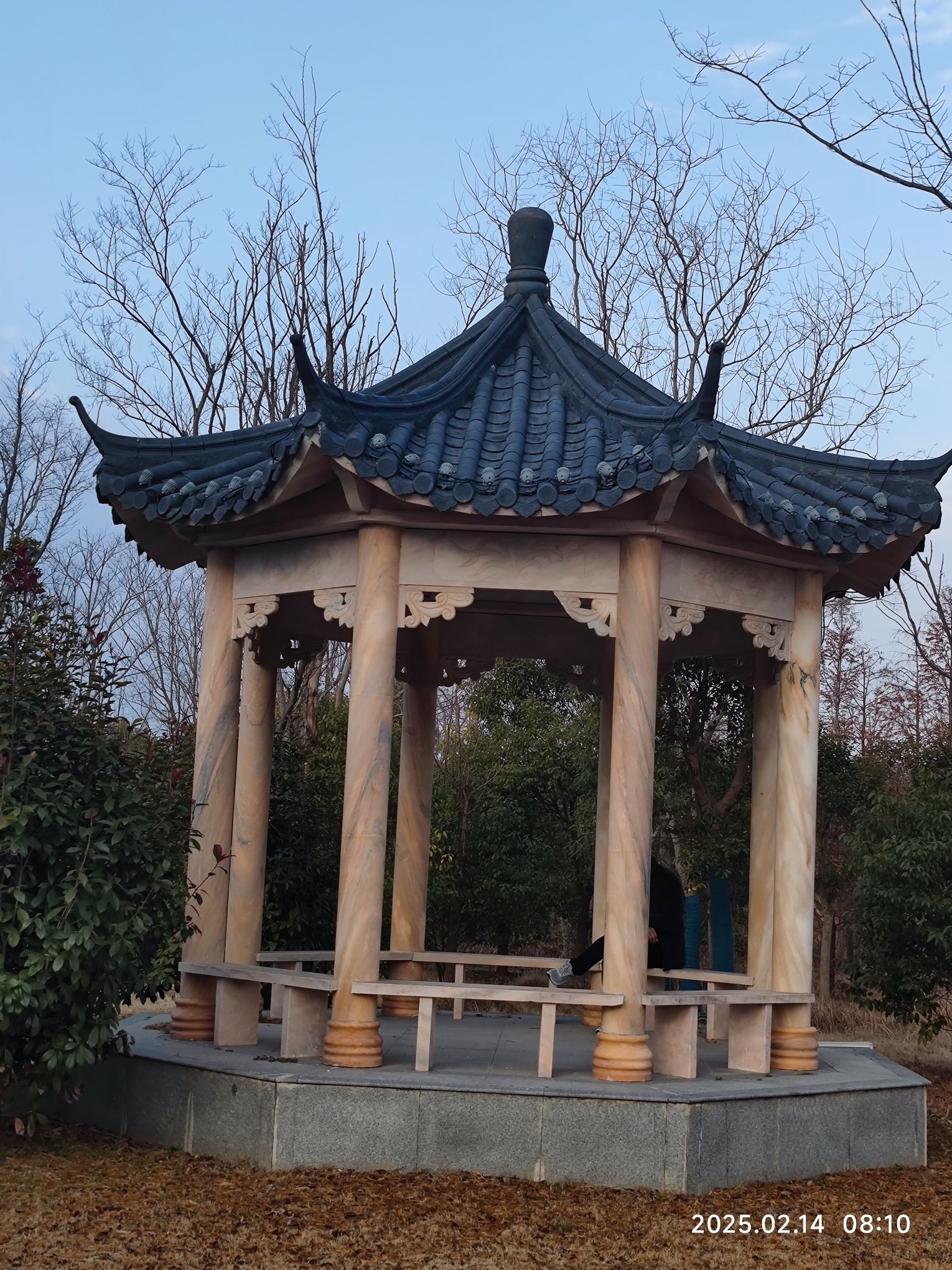 中国丹顶鹤小镇旅行图片 3