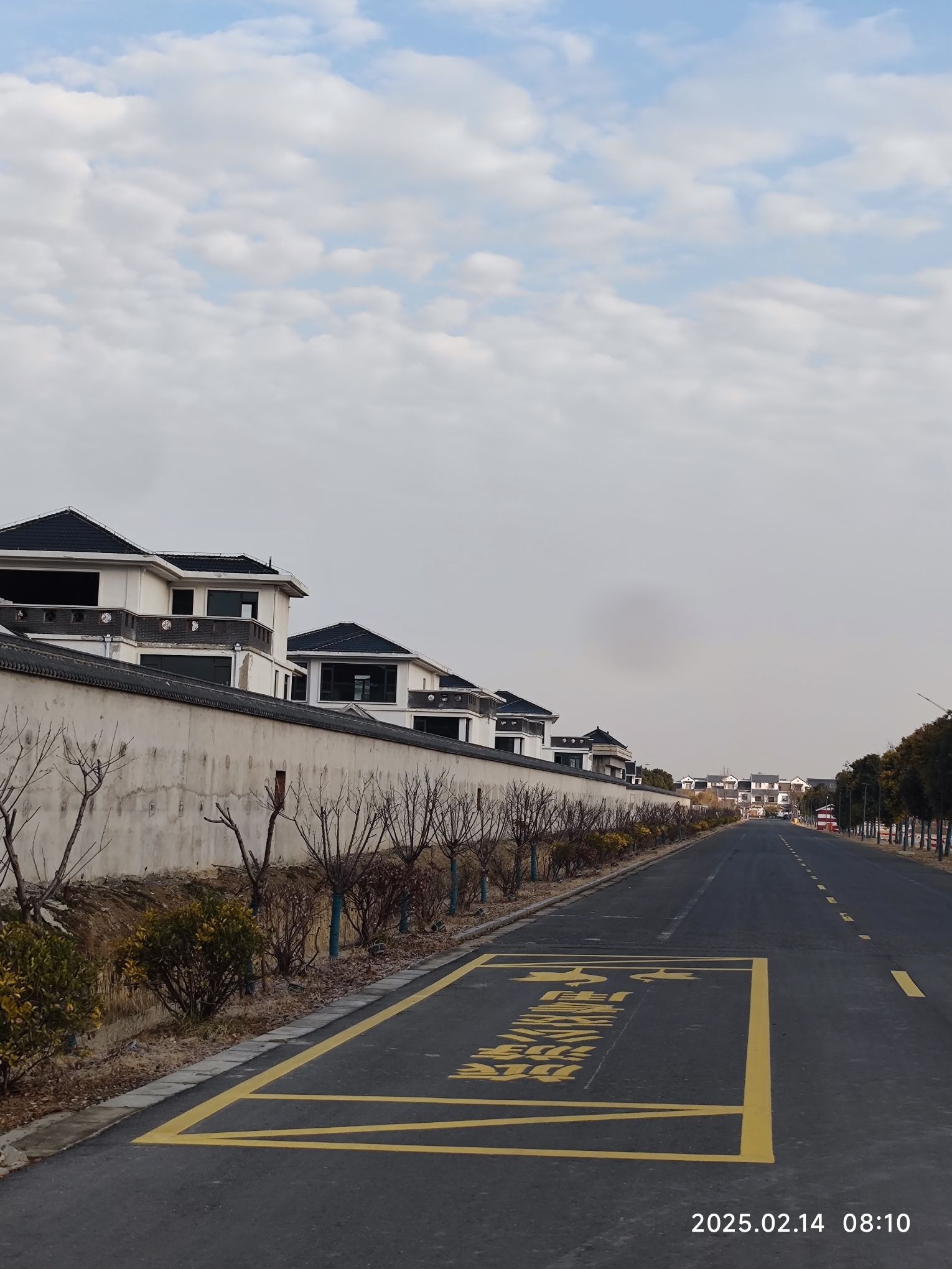 中国丹顶鹤小镇旅行图片 2