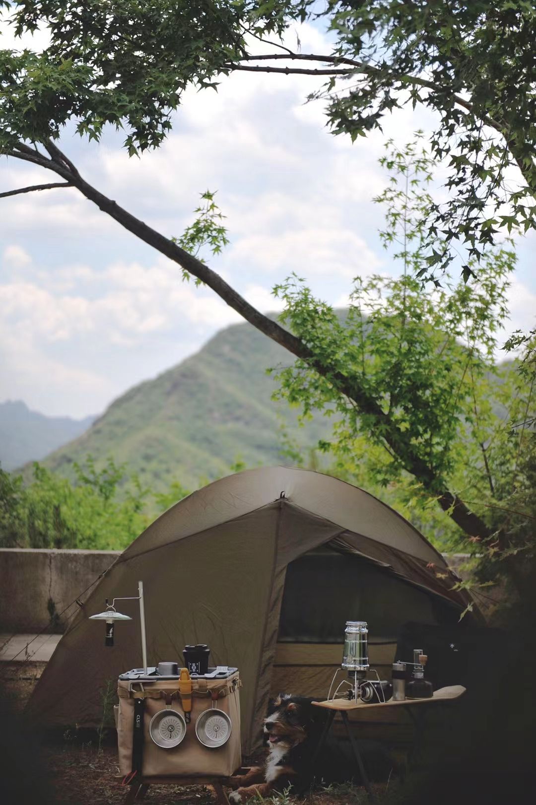 场地封面-去舍C-life营地