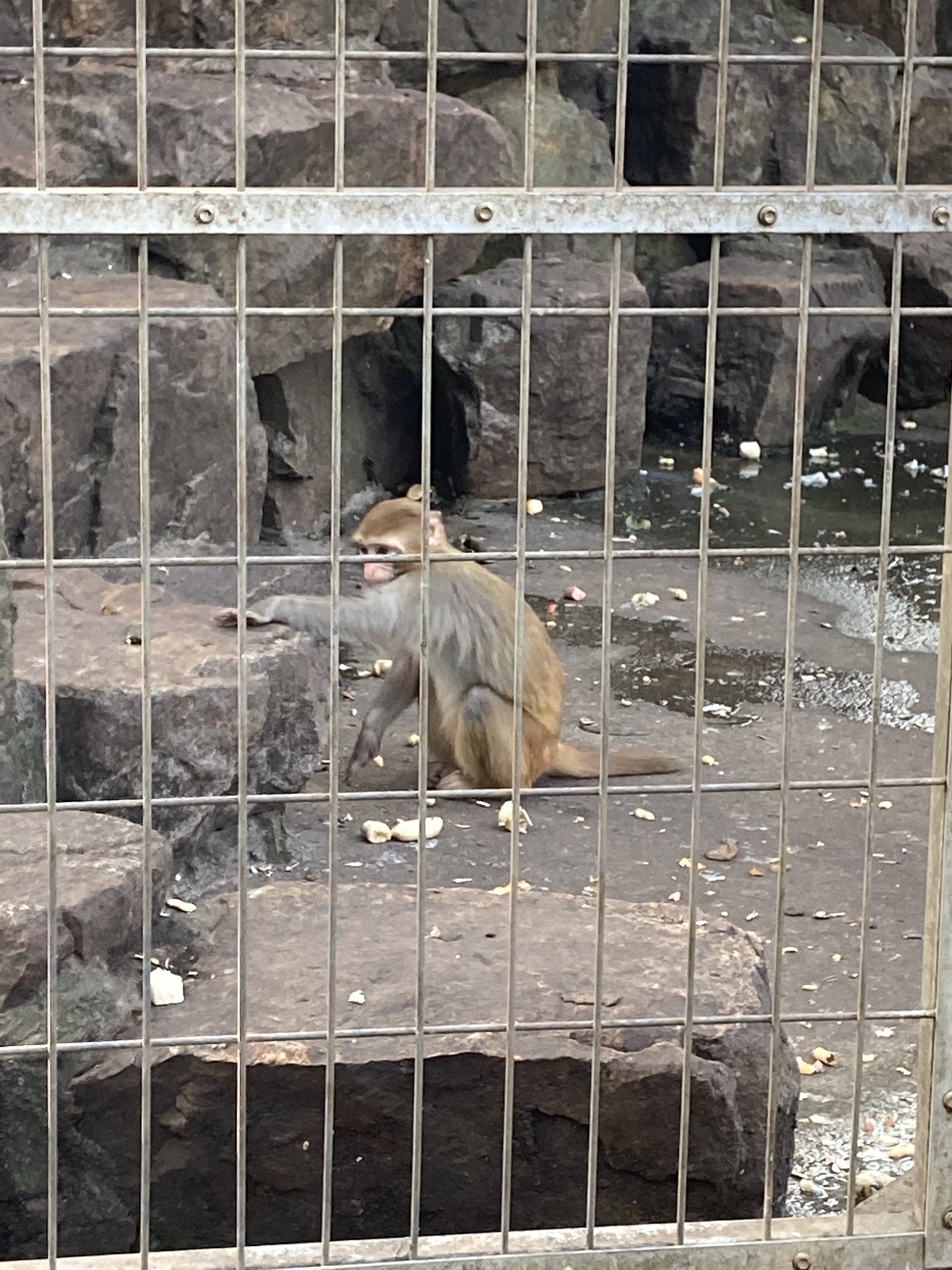 张堰古镇旅行图片 1