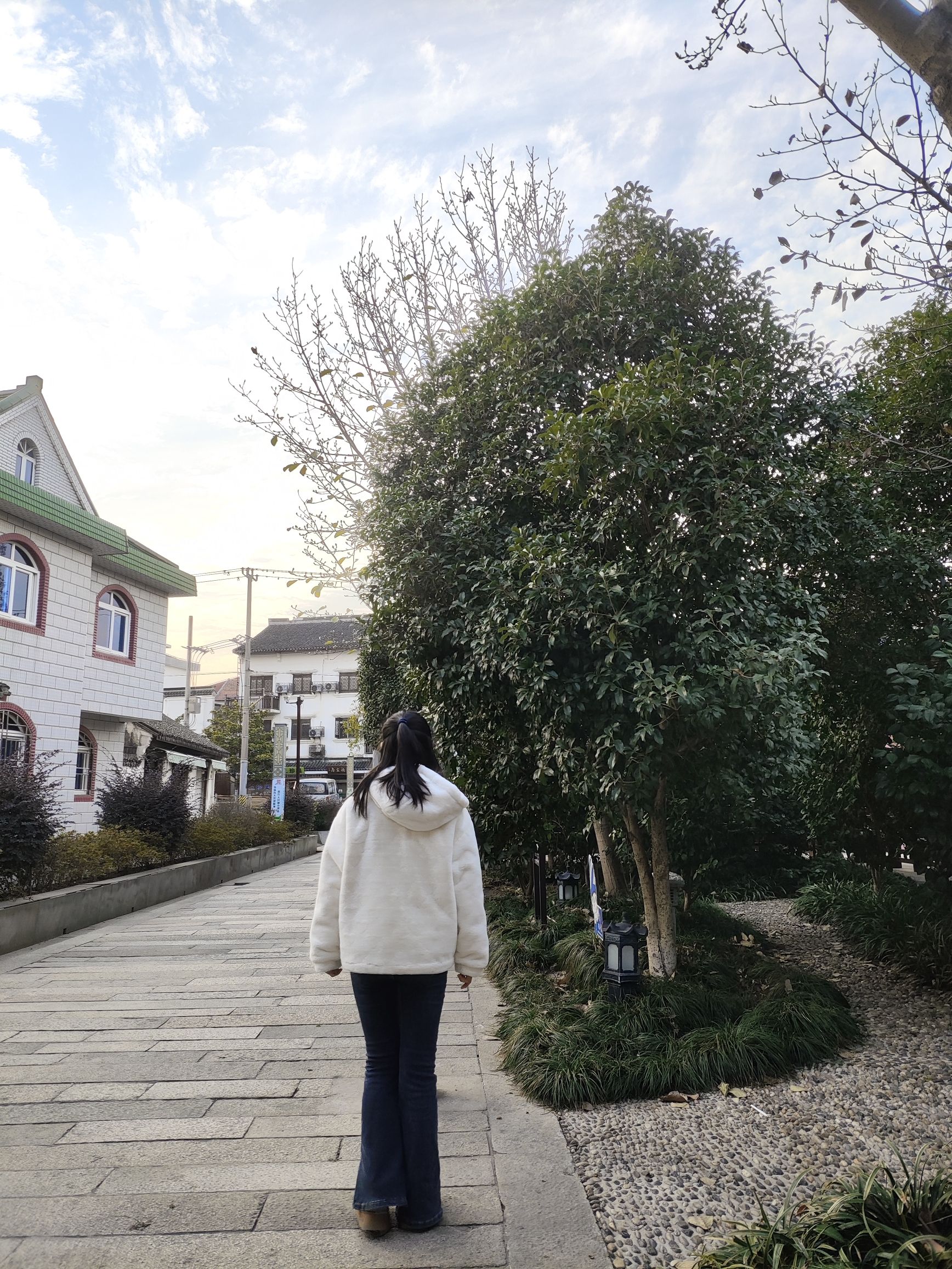 张堰古镇旅行图片 3