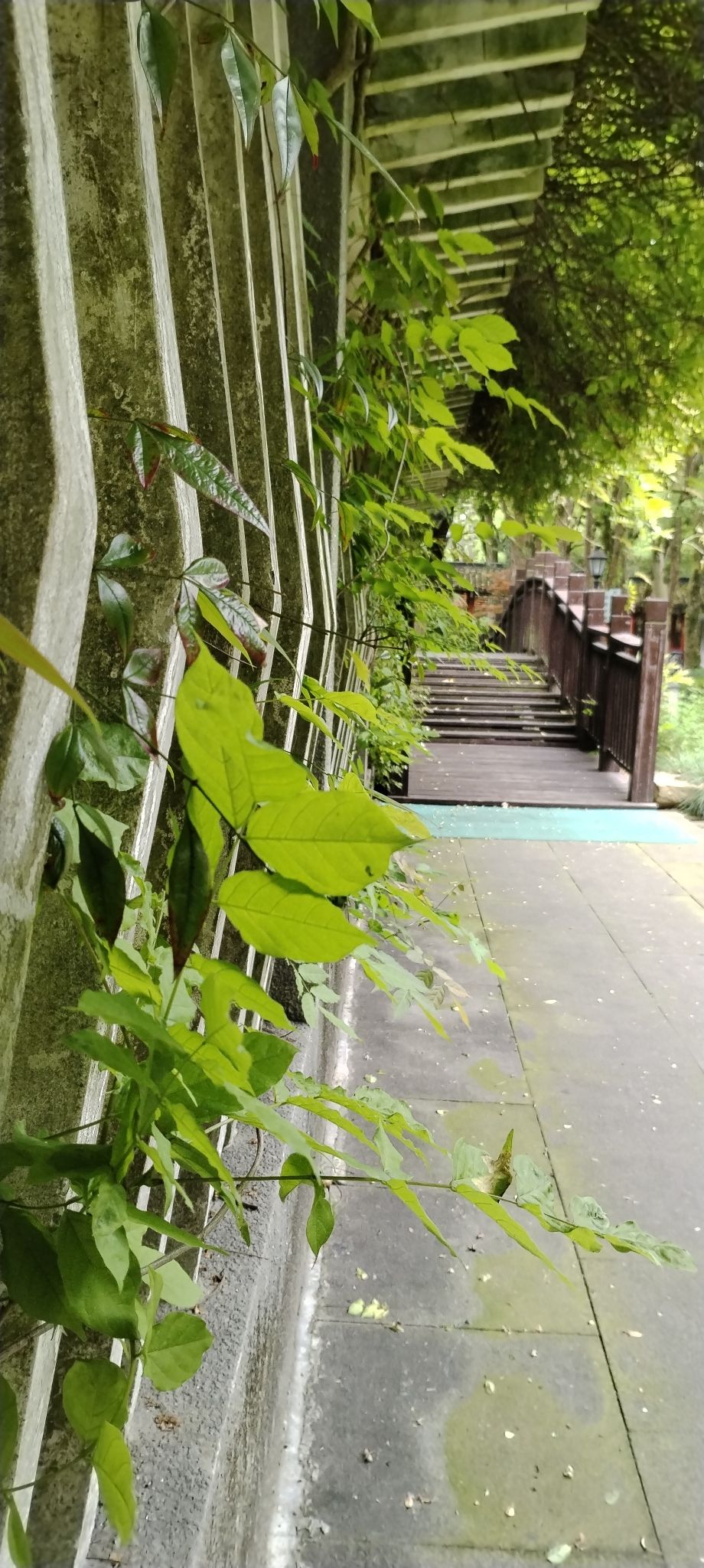 张堰古镇旅行图片 2