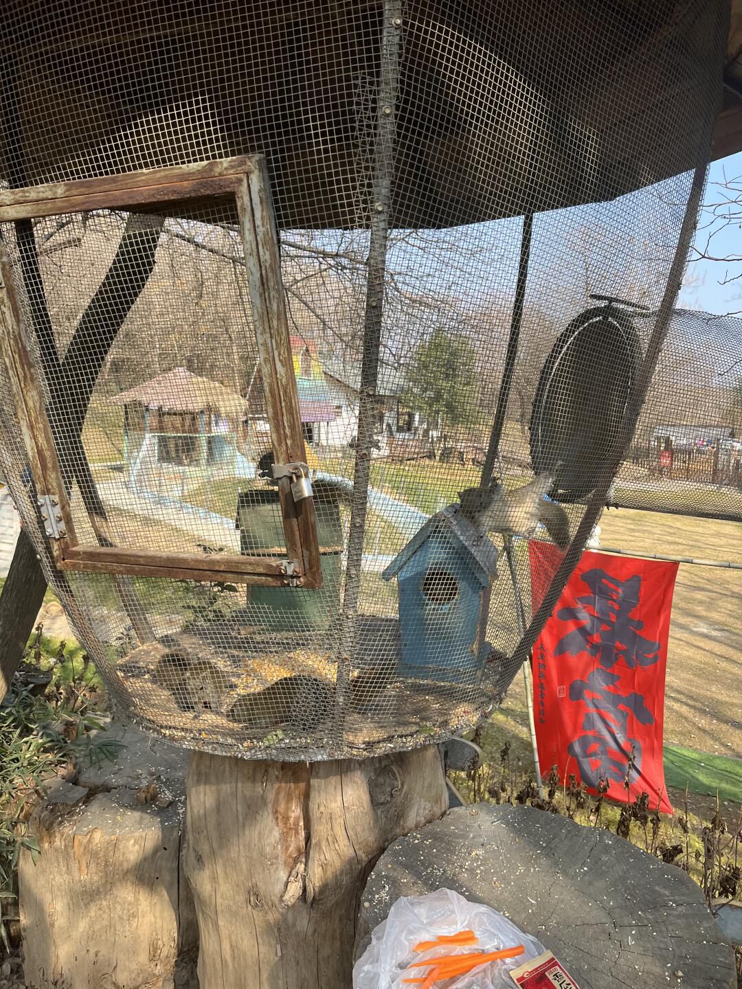 松鼠咔咔探索乐园旅行图片 3